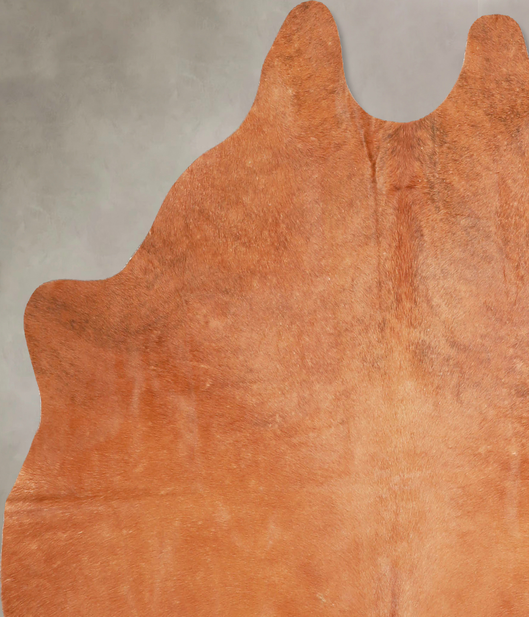 Solid Brown Cowhide Rug #A35015