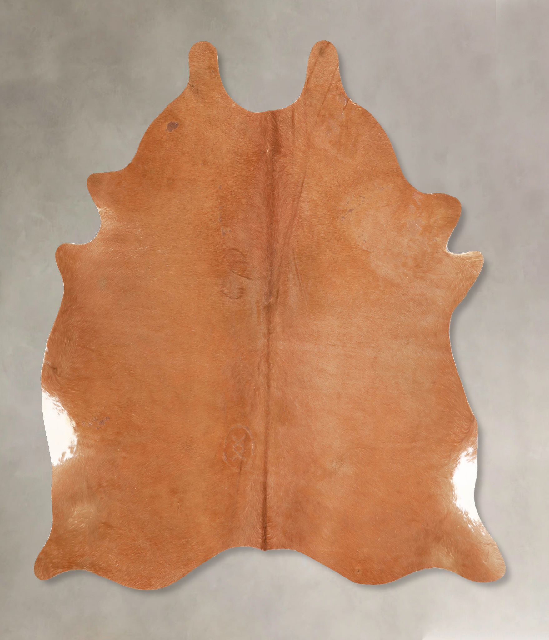 Solid Brown Cowhide Rug #A35017