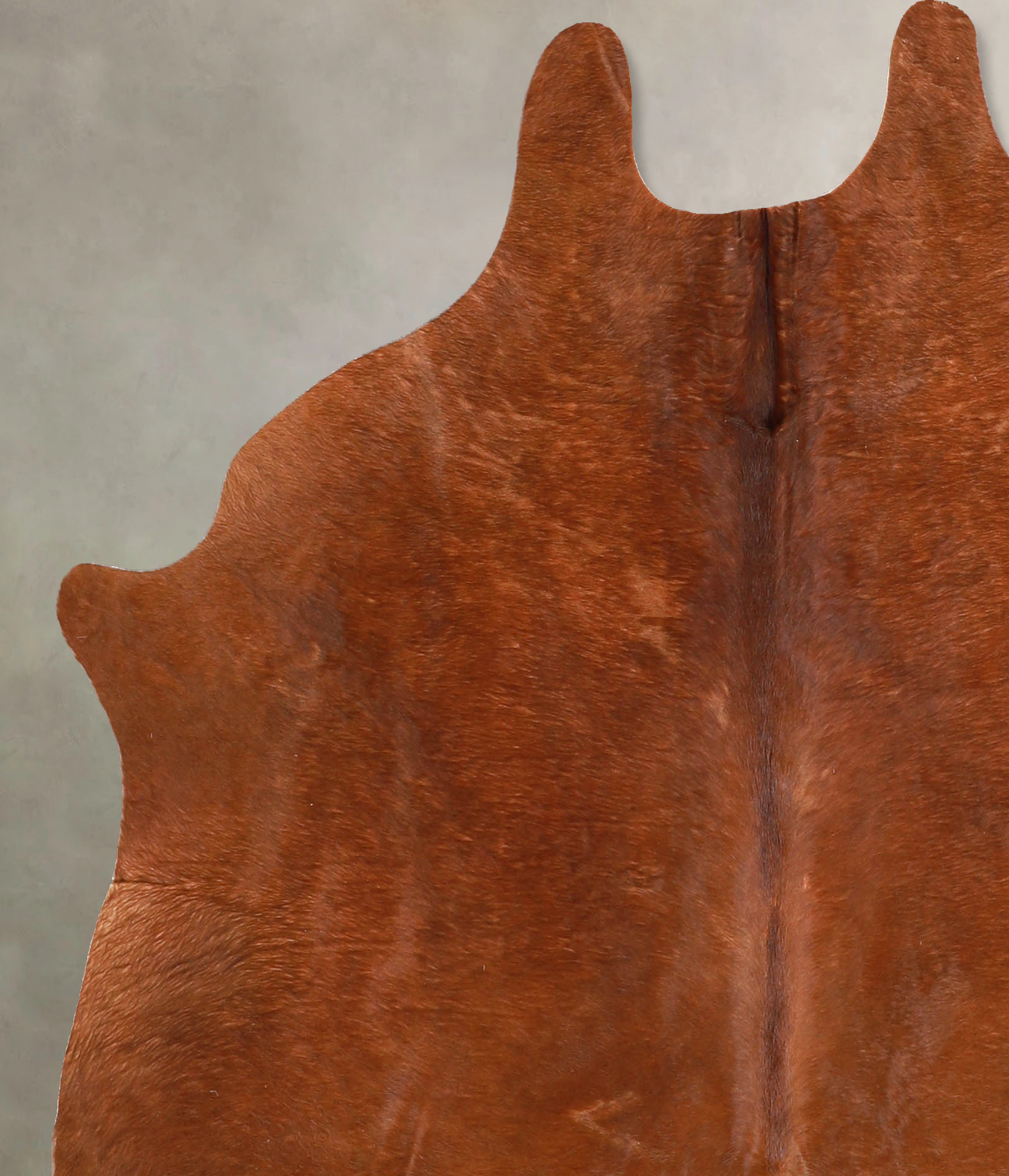 Solid Brown Cowhide Rug #A35019