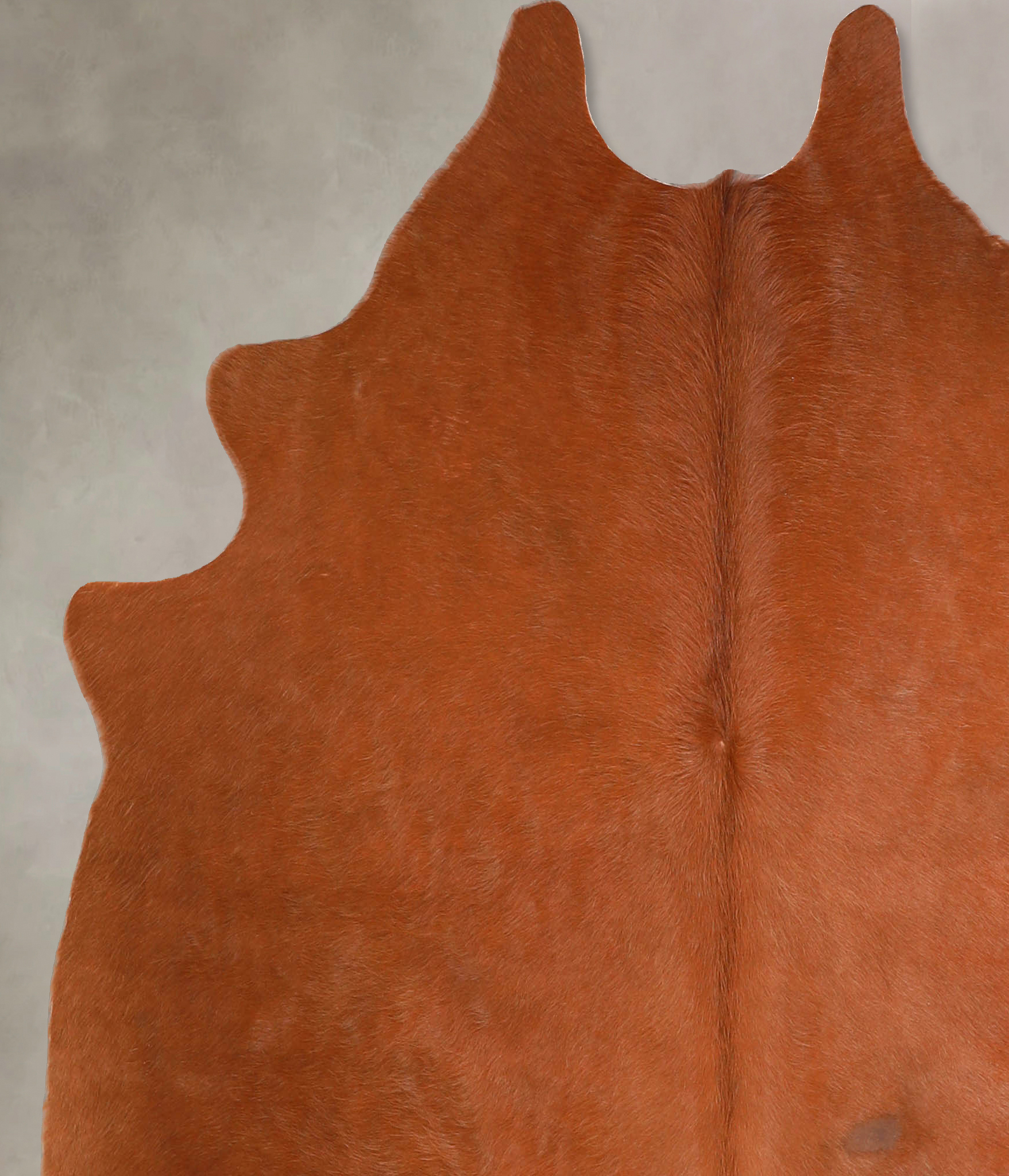 Solid Brown Cowhide Rug #A35032