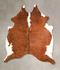 Tricolor Large Brazilian Cowhide Rug 6'3