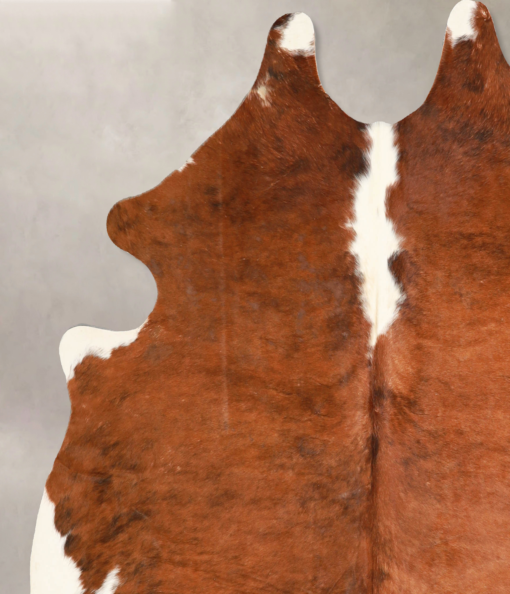 Tricolor Cowhide Rug #A35050