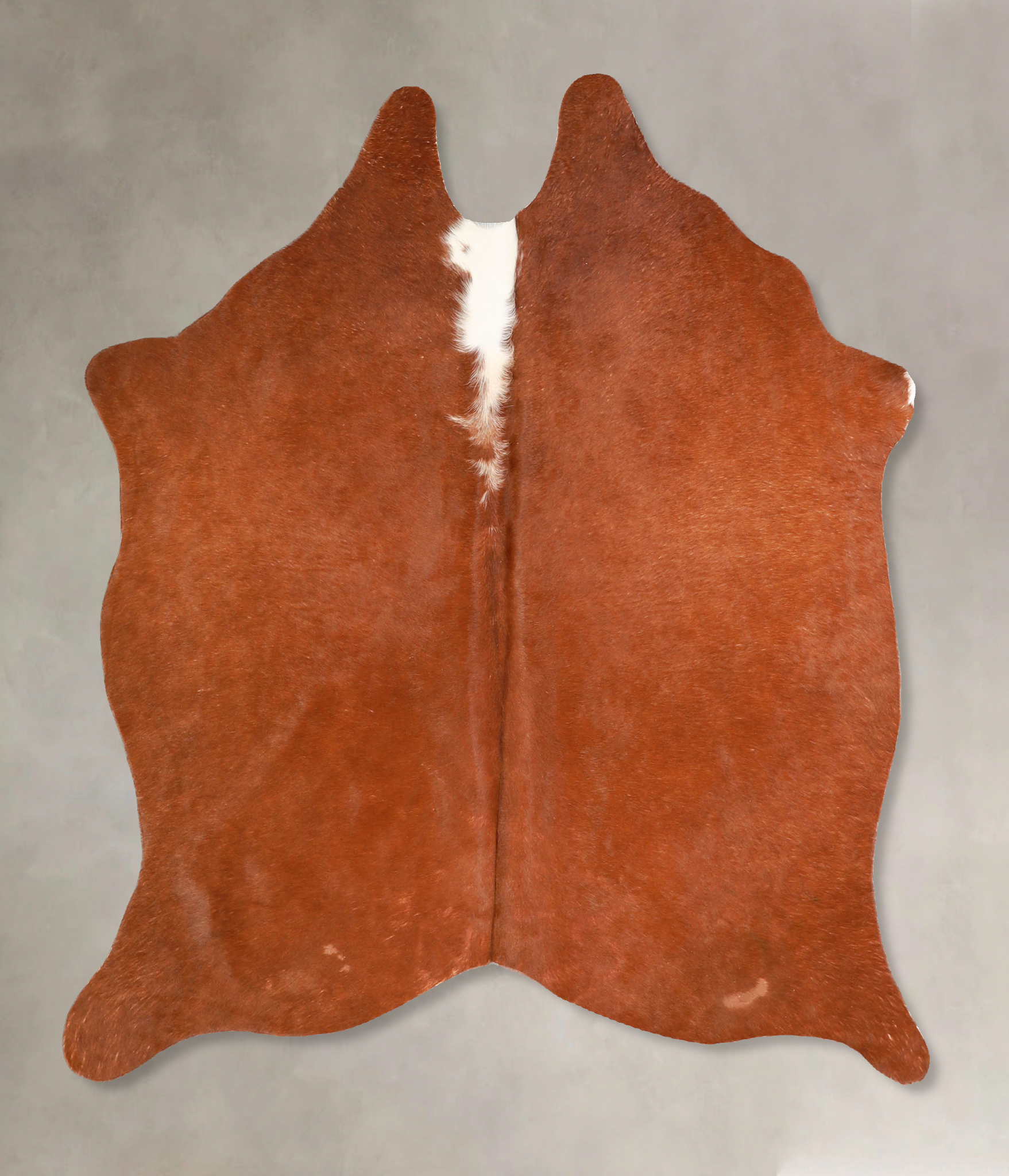 Brown and White Regular Cowhide Rug #A35052