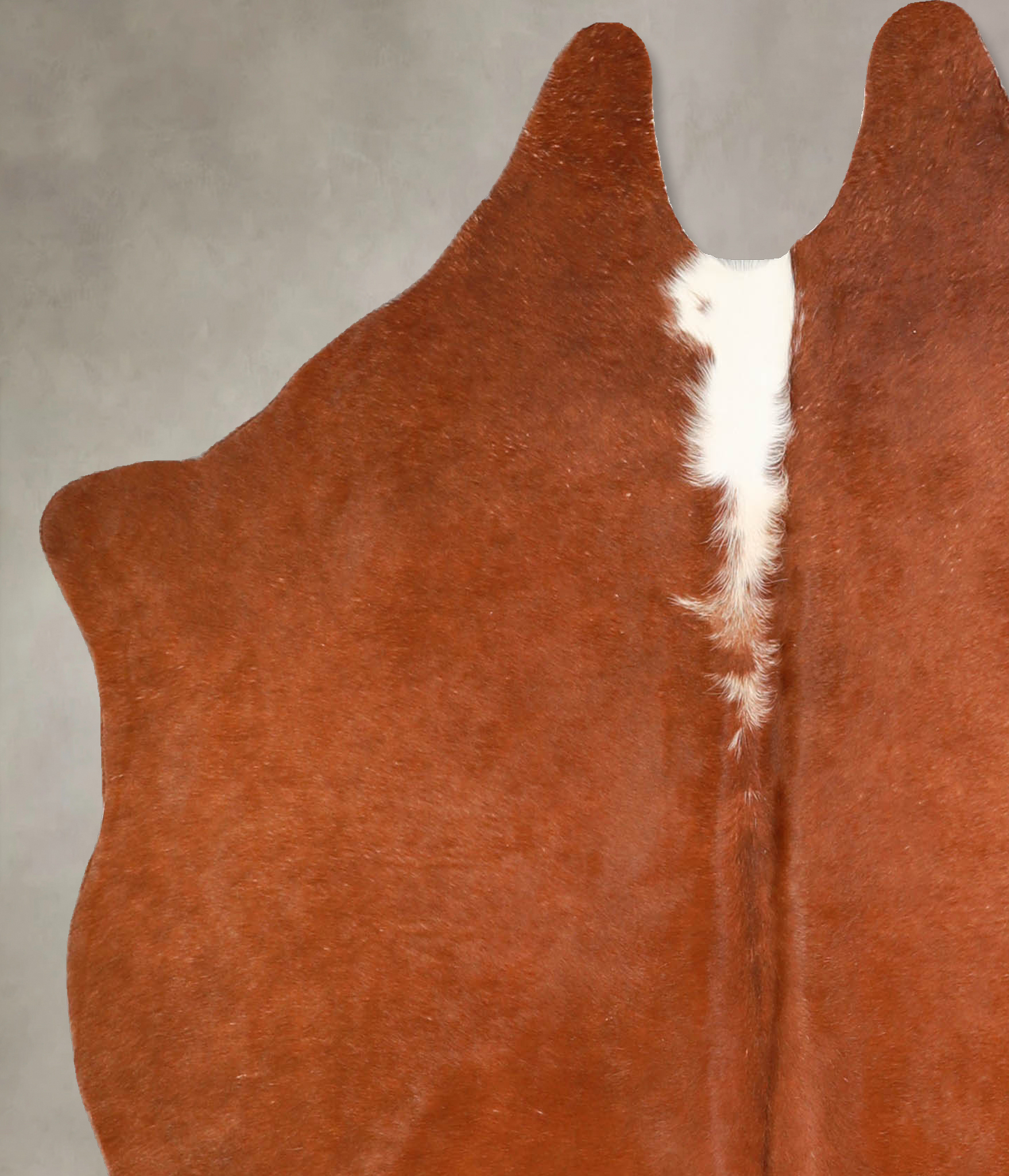 Brown and White Regular Cowhide Rug #A35052