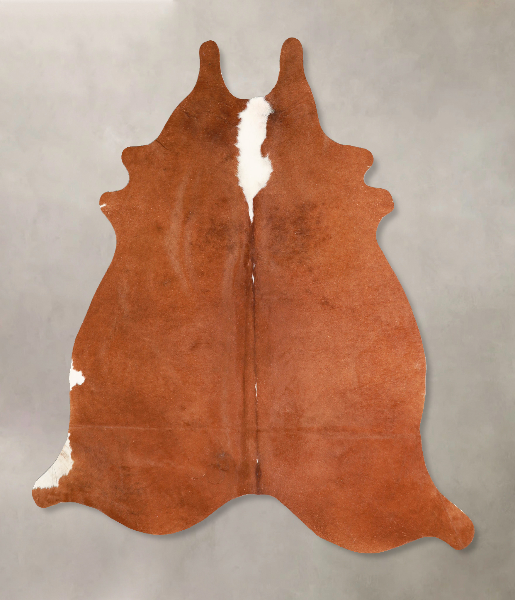 Brown and White Regular Cowhide Rug #A35054