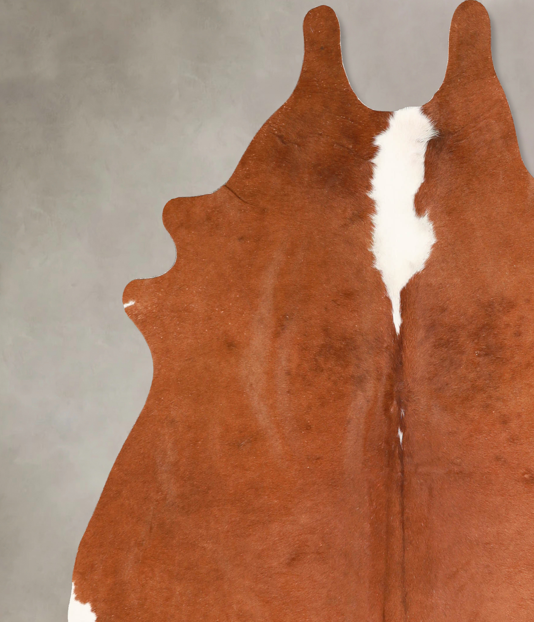 Brown and White Regular Cowhide Rug #A35054