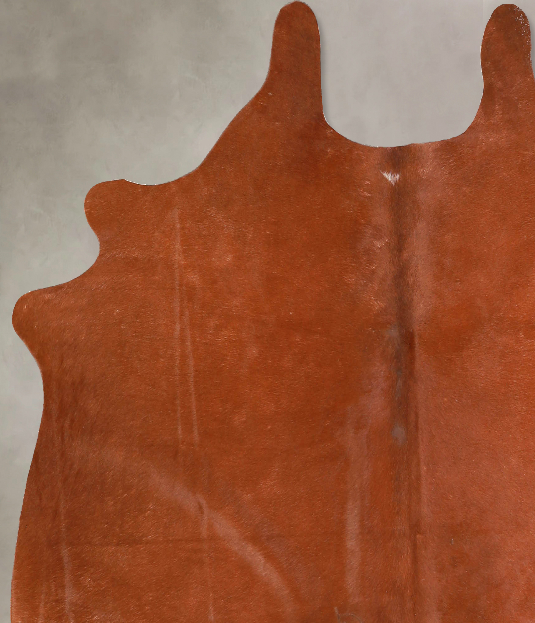 Solid Brown Cowhide Rug #A35072