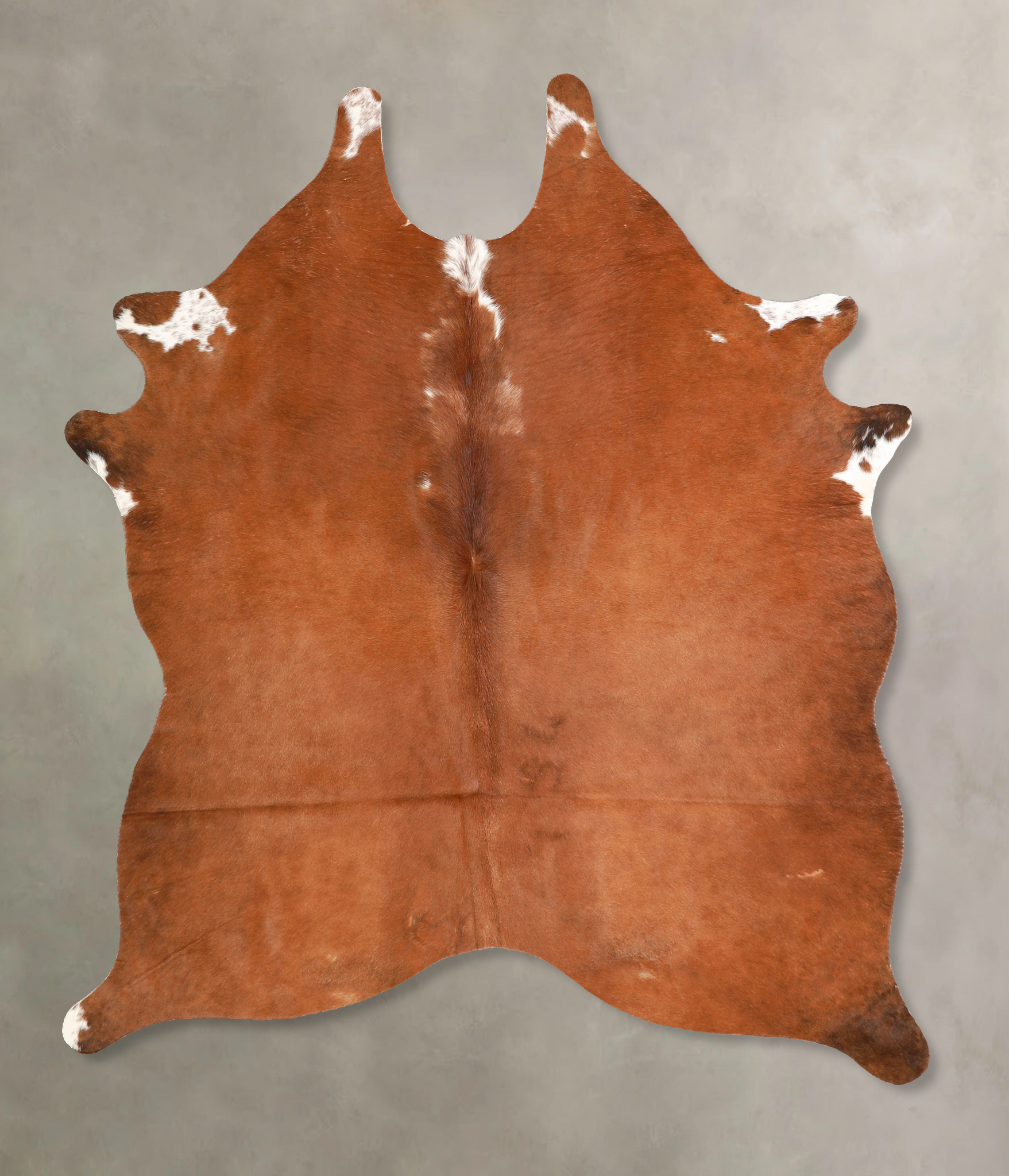 Brown and White Regular Cowhide Rug #A35088