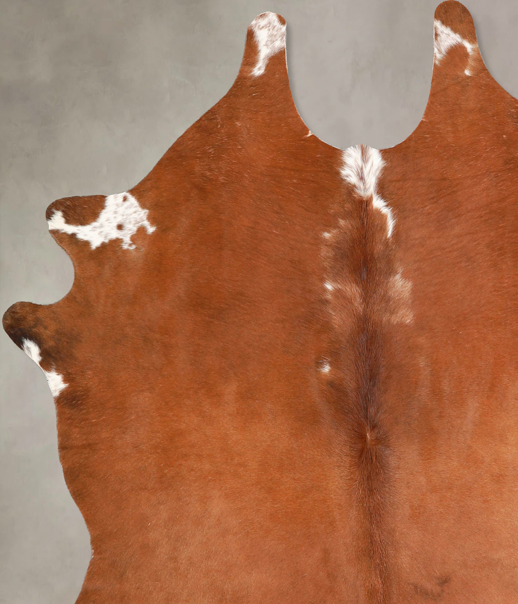 Brown and White Regular Cowhide Rug #A35088