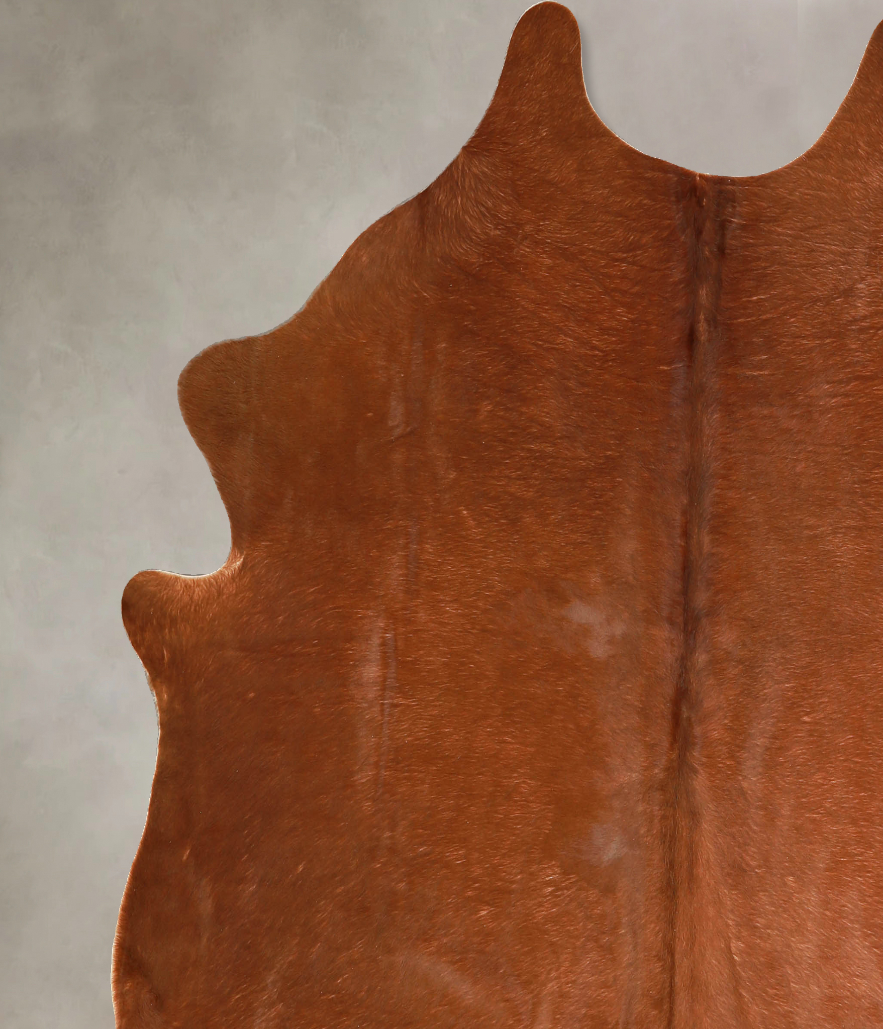 Solid Brown Cowhide Rug #A35105