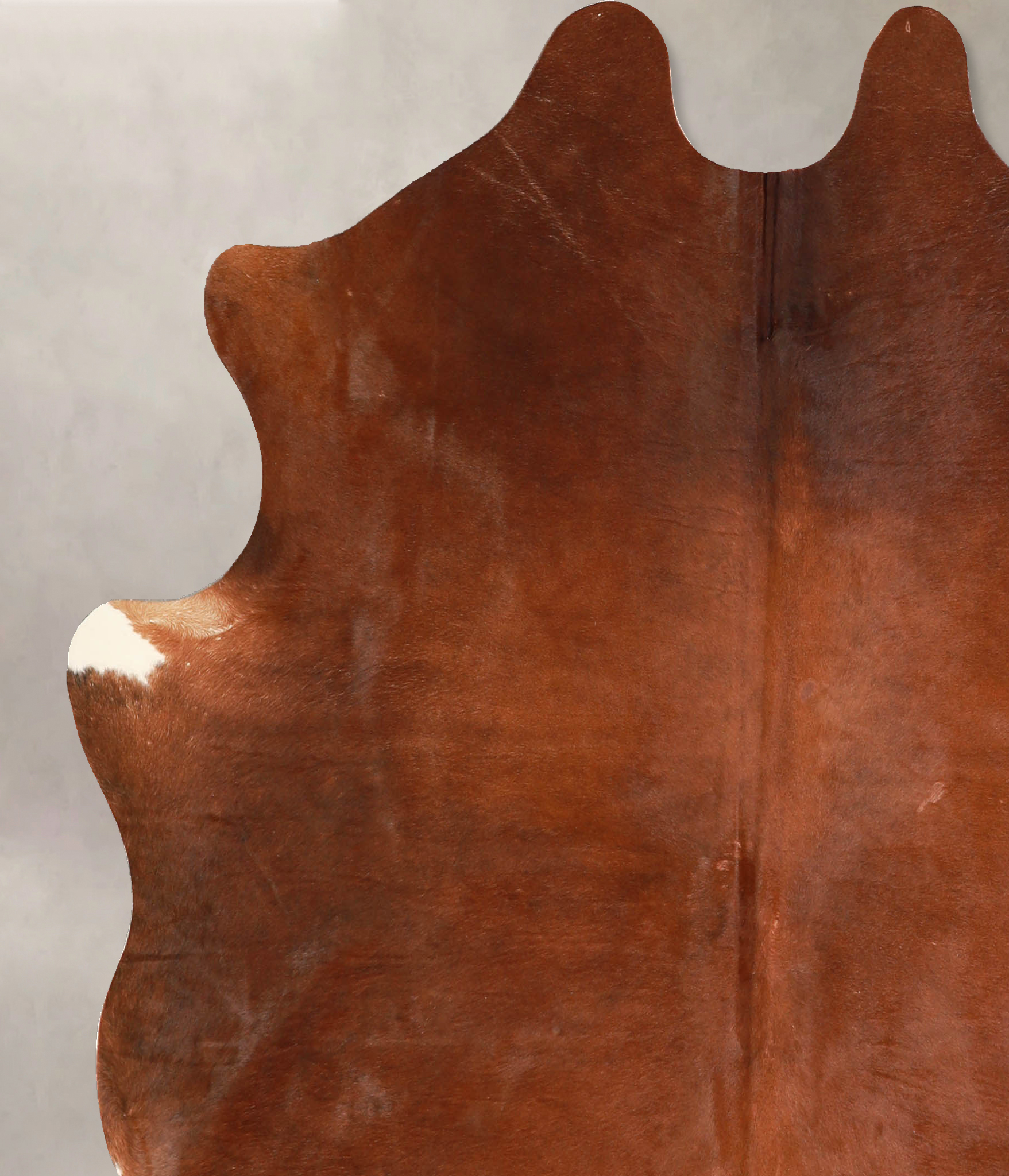 Solid Brown Cowhide Rug #A35108