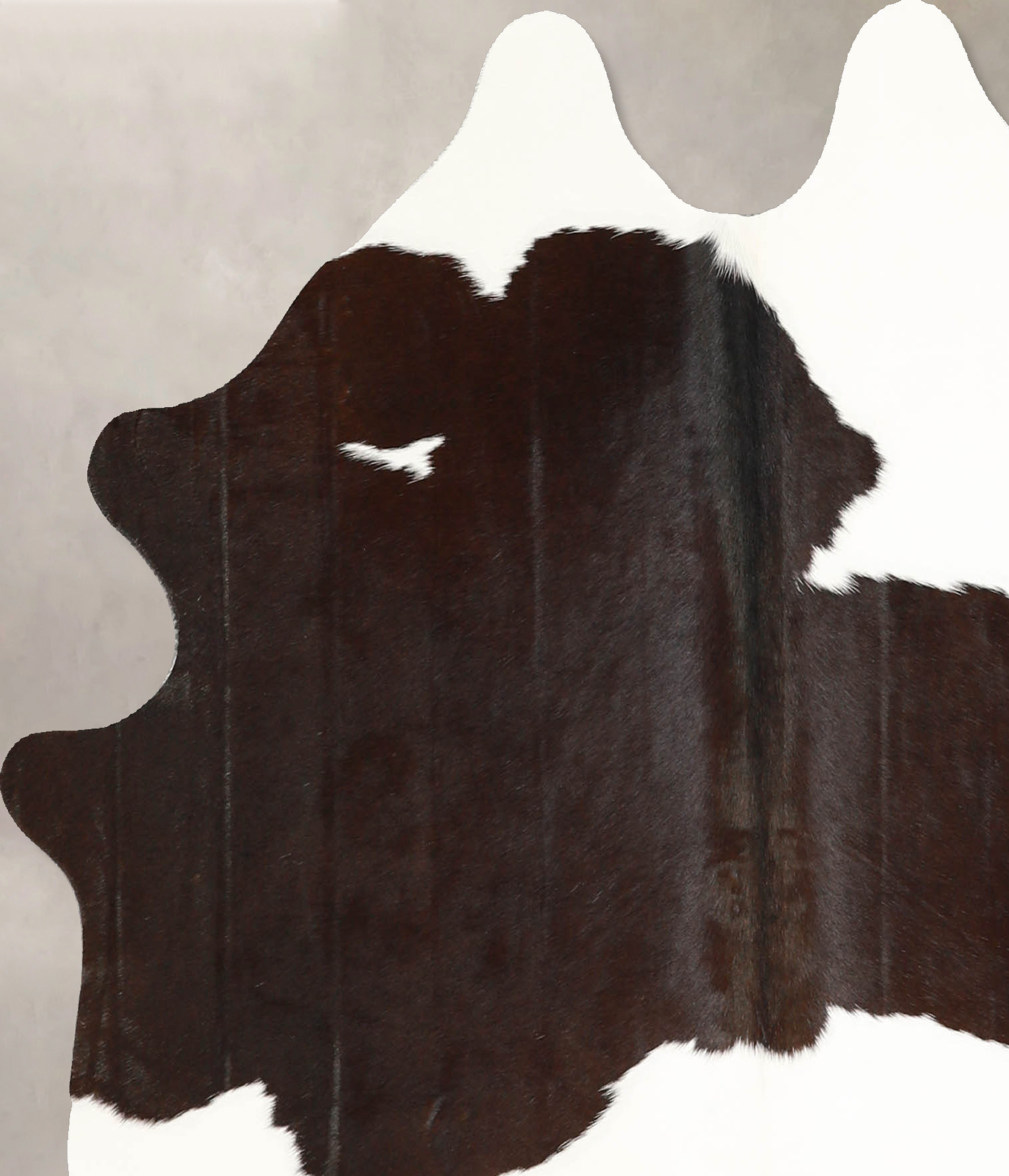 Chocolate and White Cowhide Rug #A35169