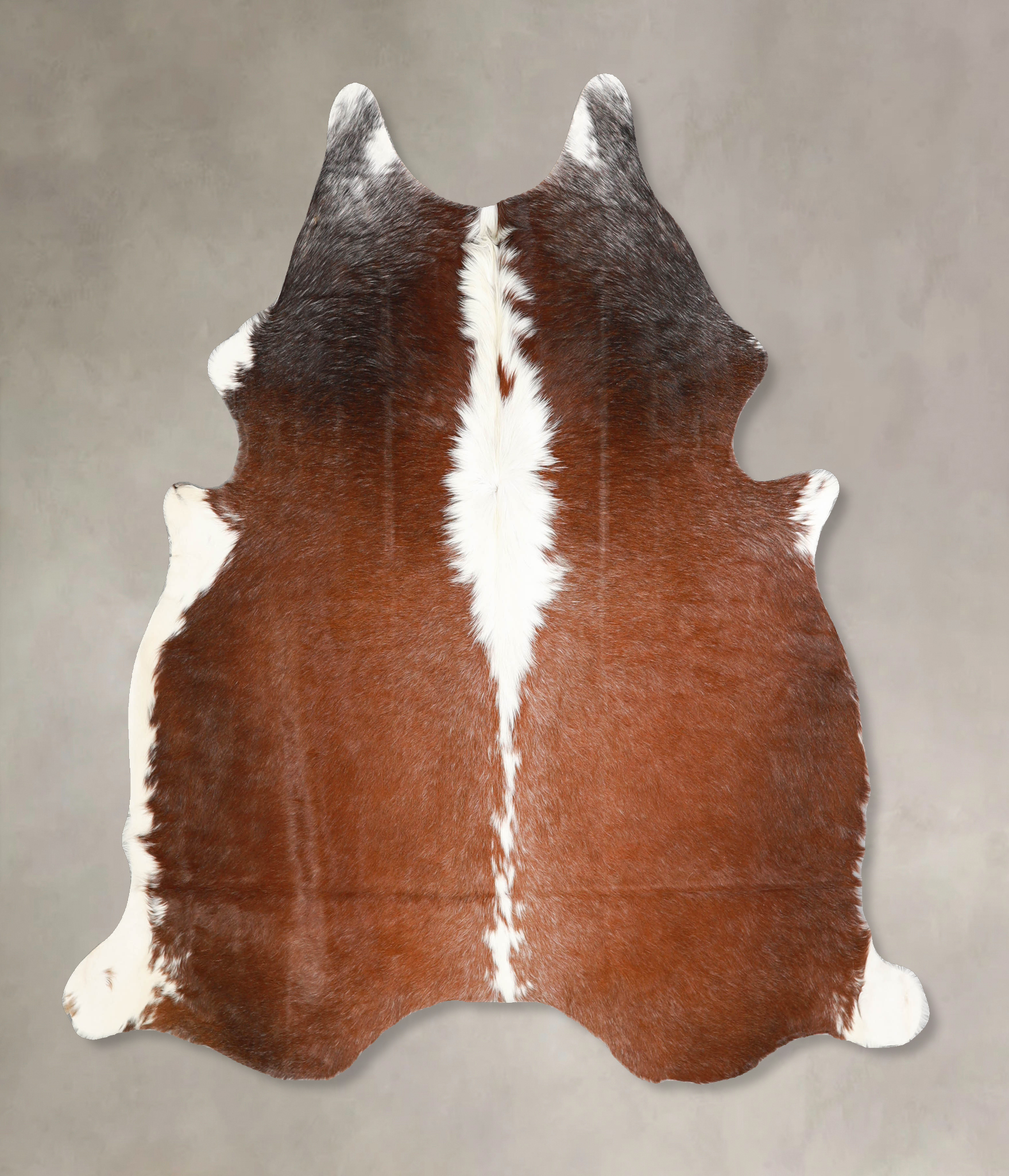 Brown and White Regular Cowhide Rug #A35170