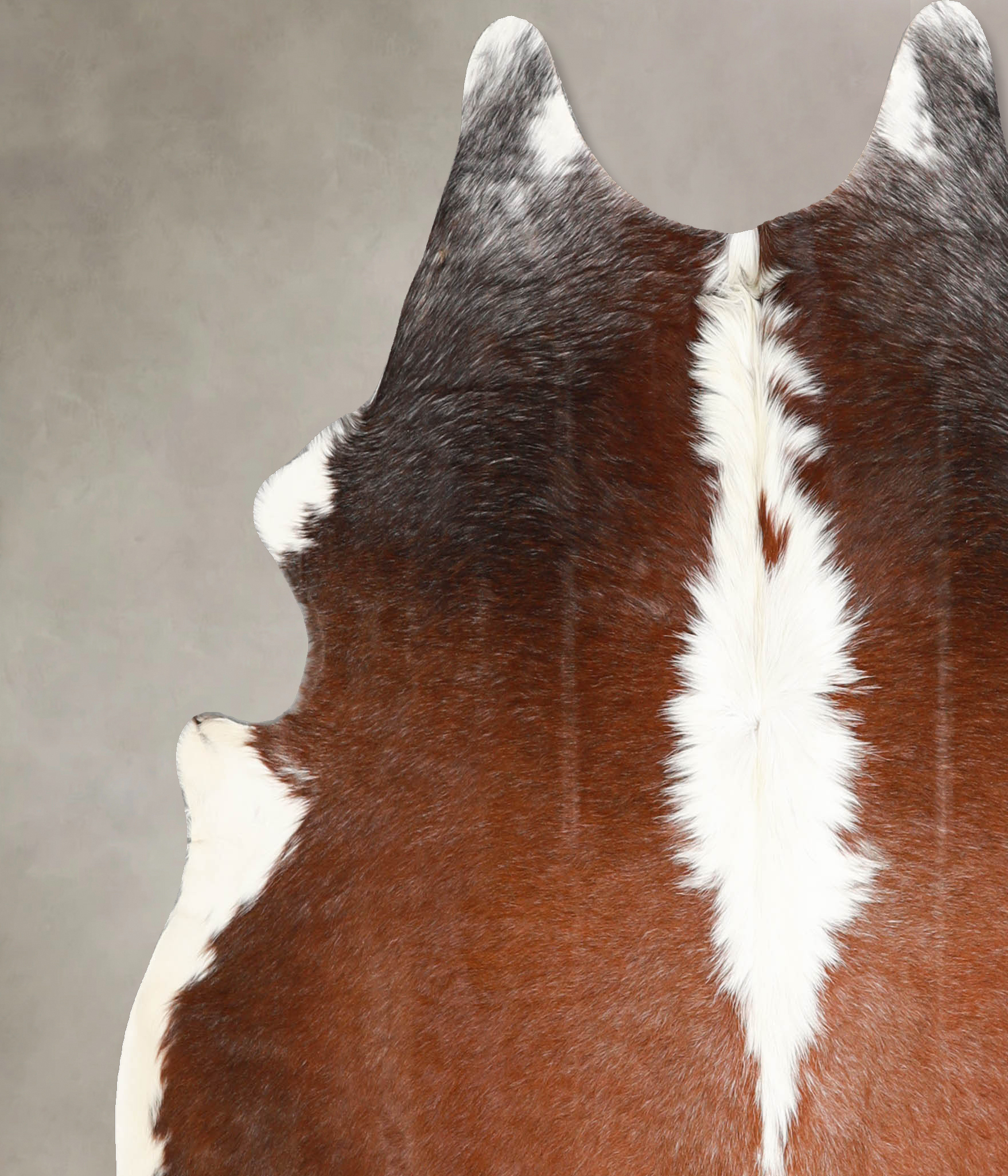 Brown and White Regular Cowhide Rug #A35170