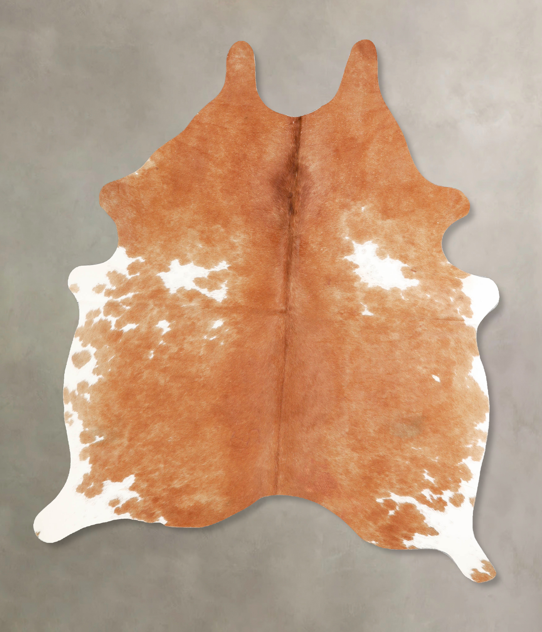 Brown and White Regular Cowhide Rug #A35178