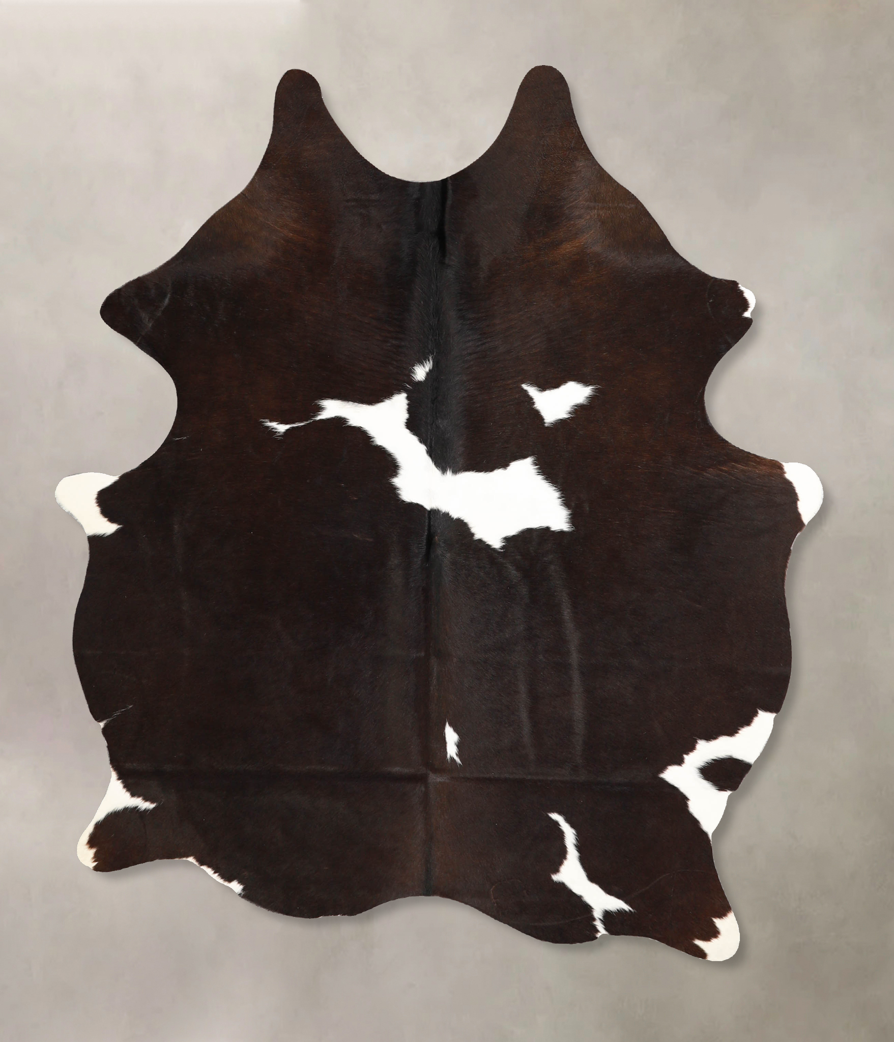 Chocolate and White Cowhide Rug #A35182