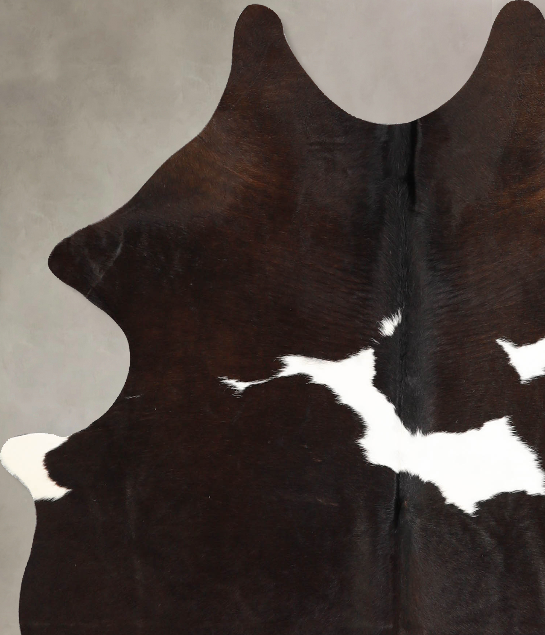 Chocolate and White Cowhide Rug #A35182