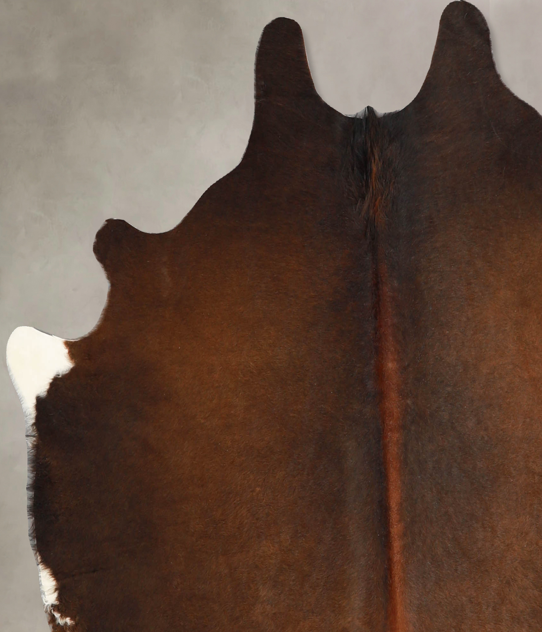 Chocolate Cowhide Rug #A35184