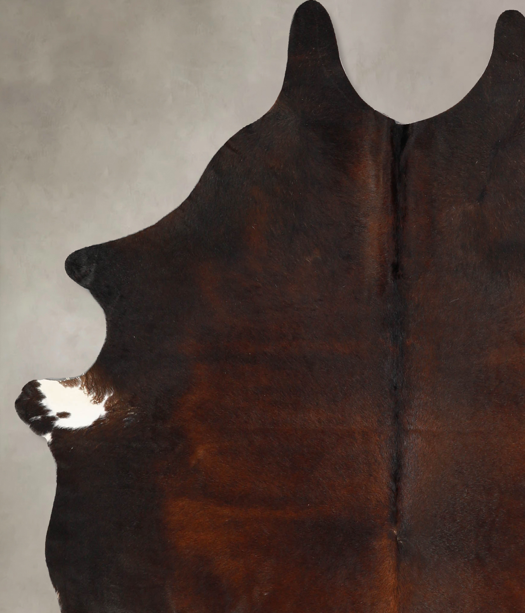 Chocolate Cowhide Rug #A35197