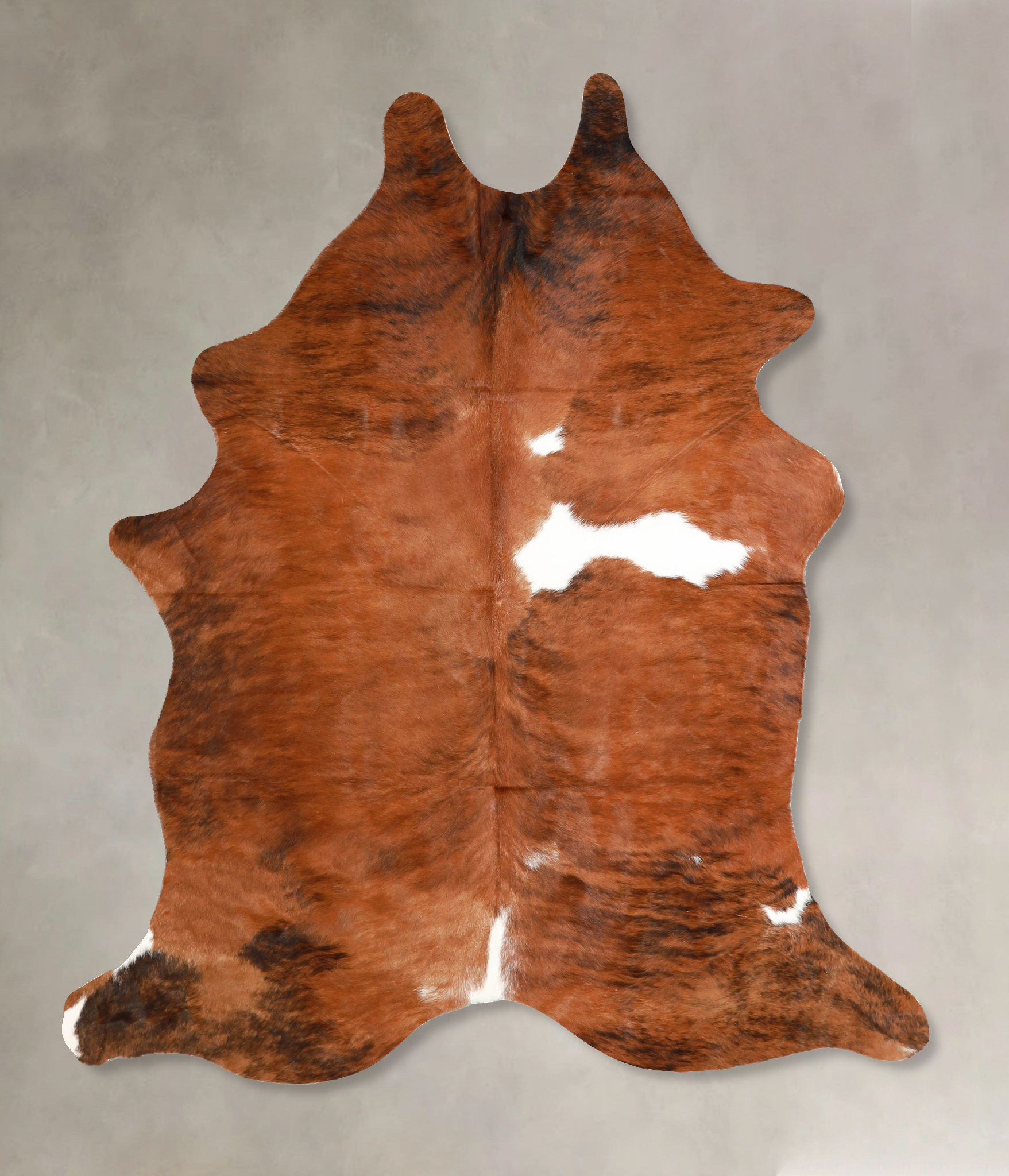 Tricolor Cowhide Rug #A35203