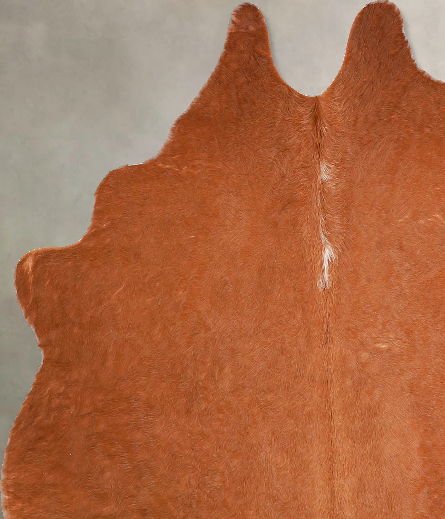 Solid Brown Cowhide Rug #A35204