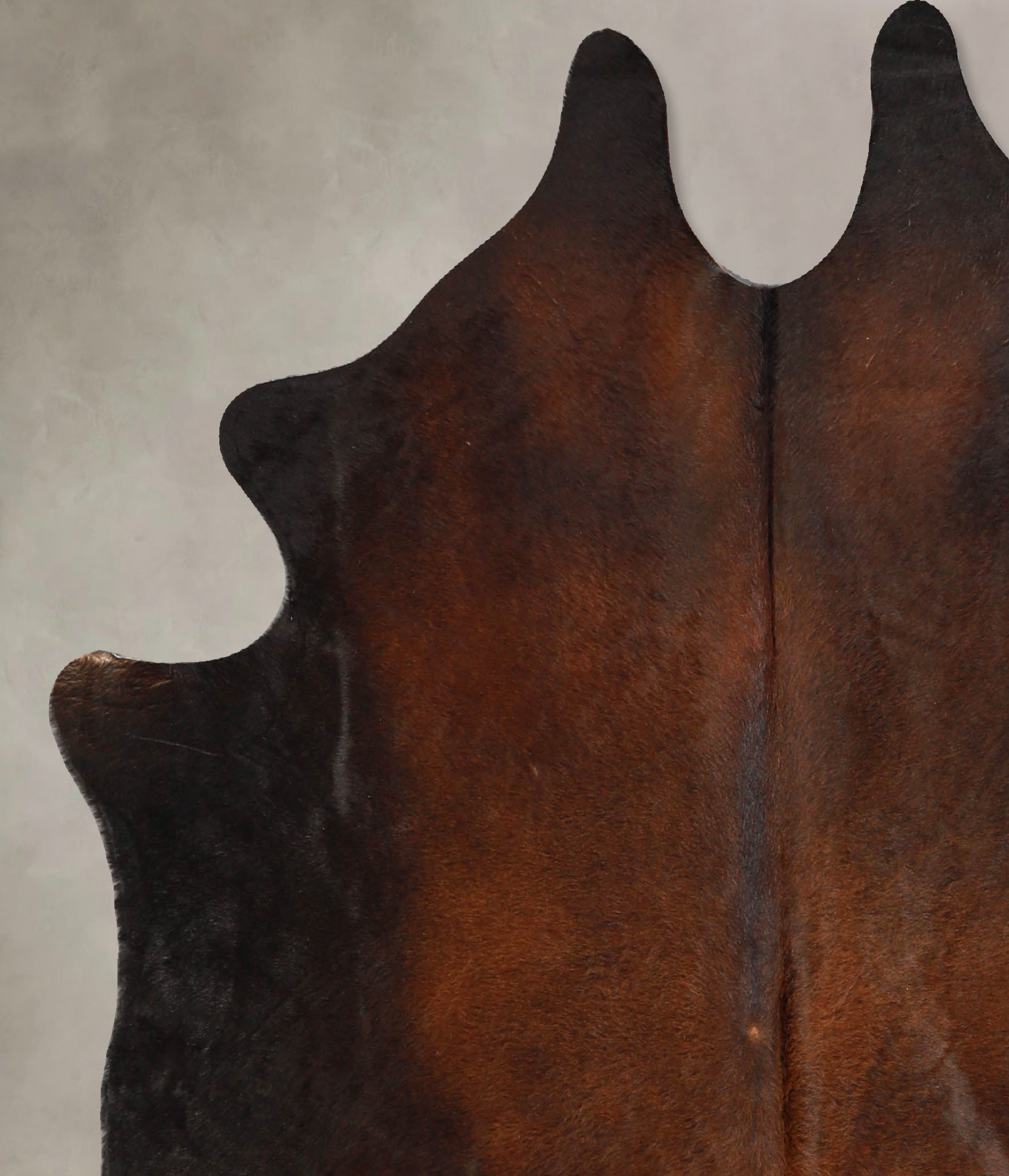 Chocolate Cowhide Rug #A35215