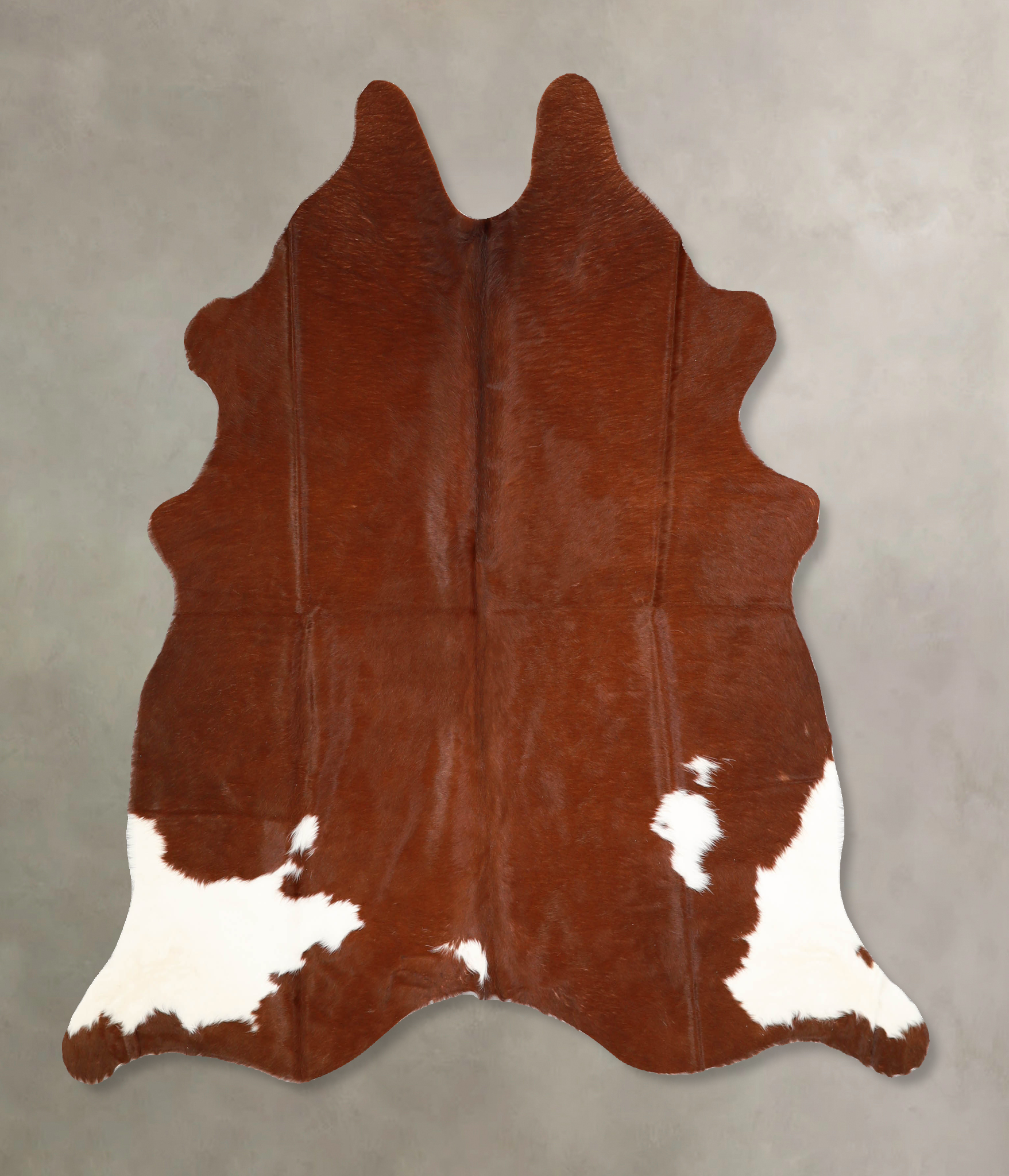 Brown and White Regular Cowhide Rug #A35217