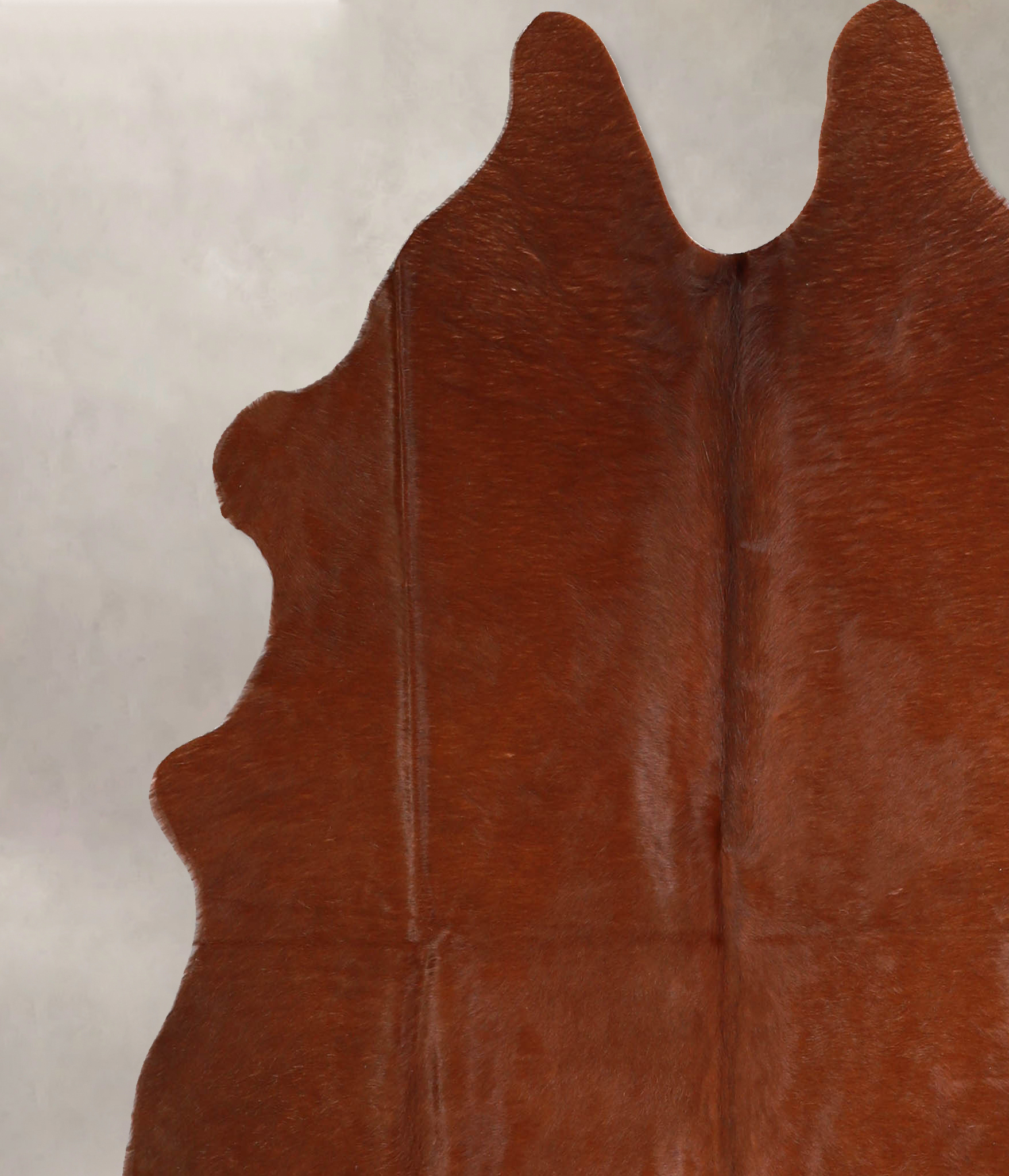 Brown and White Regular Cowhide Rug #A35217