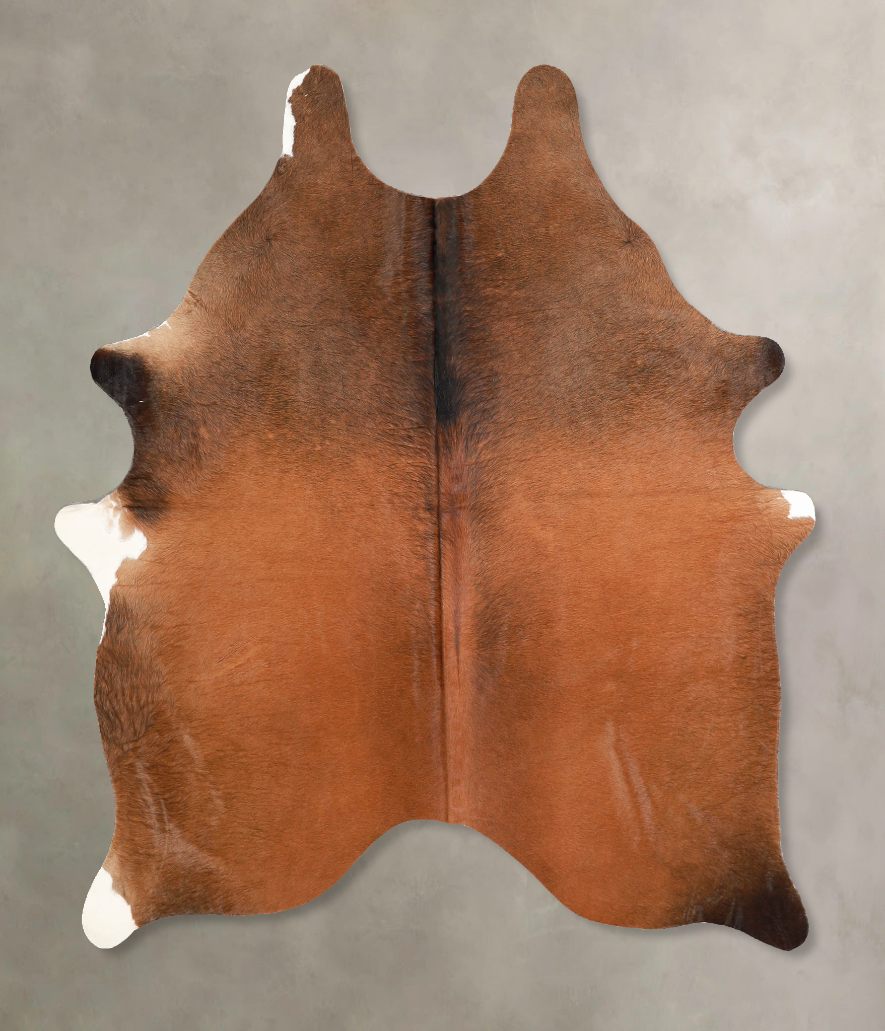 Warm Caramel Cowhide Rug #A35218