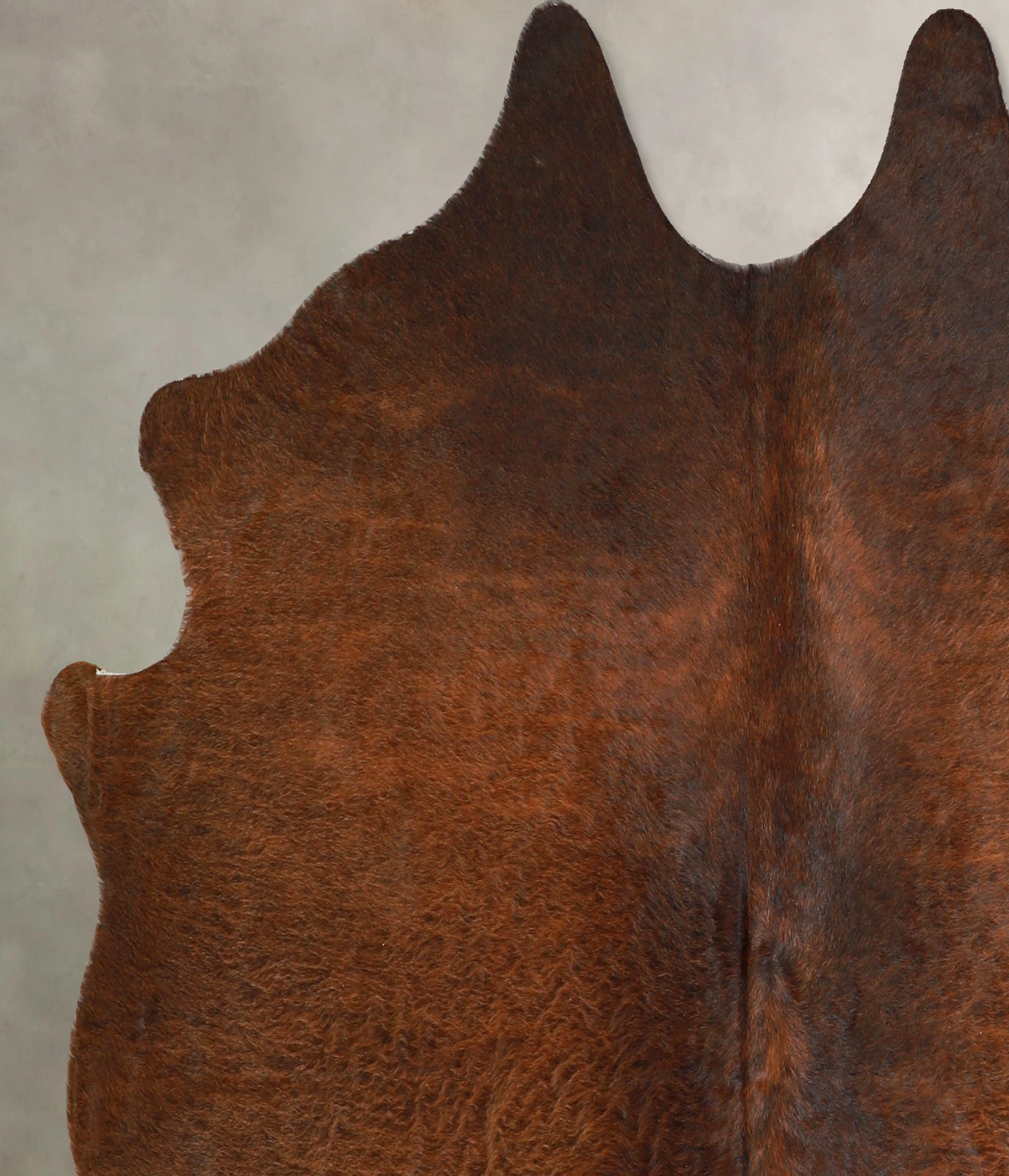 Chocolate Cowhide Rug #A35224