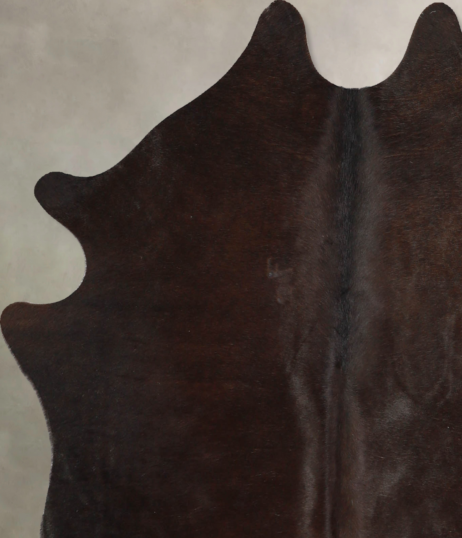 Chocolate Cowhide Rug #A35242