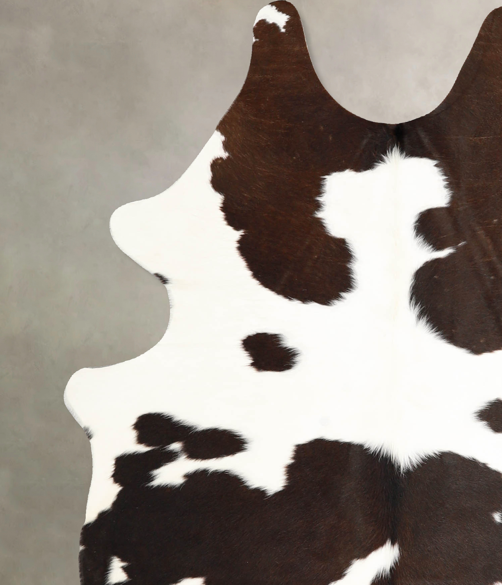 Chocolate and White Cowhide Rug #A35246