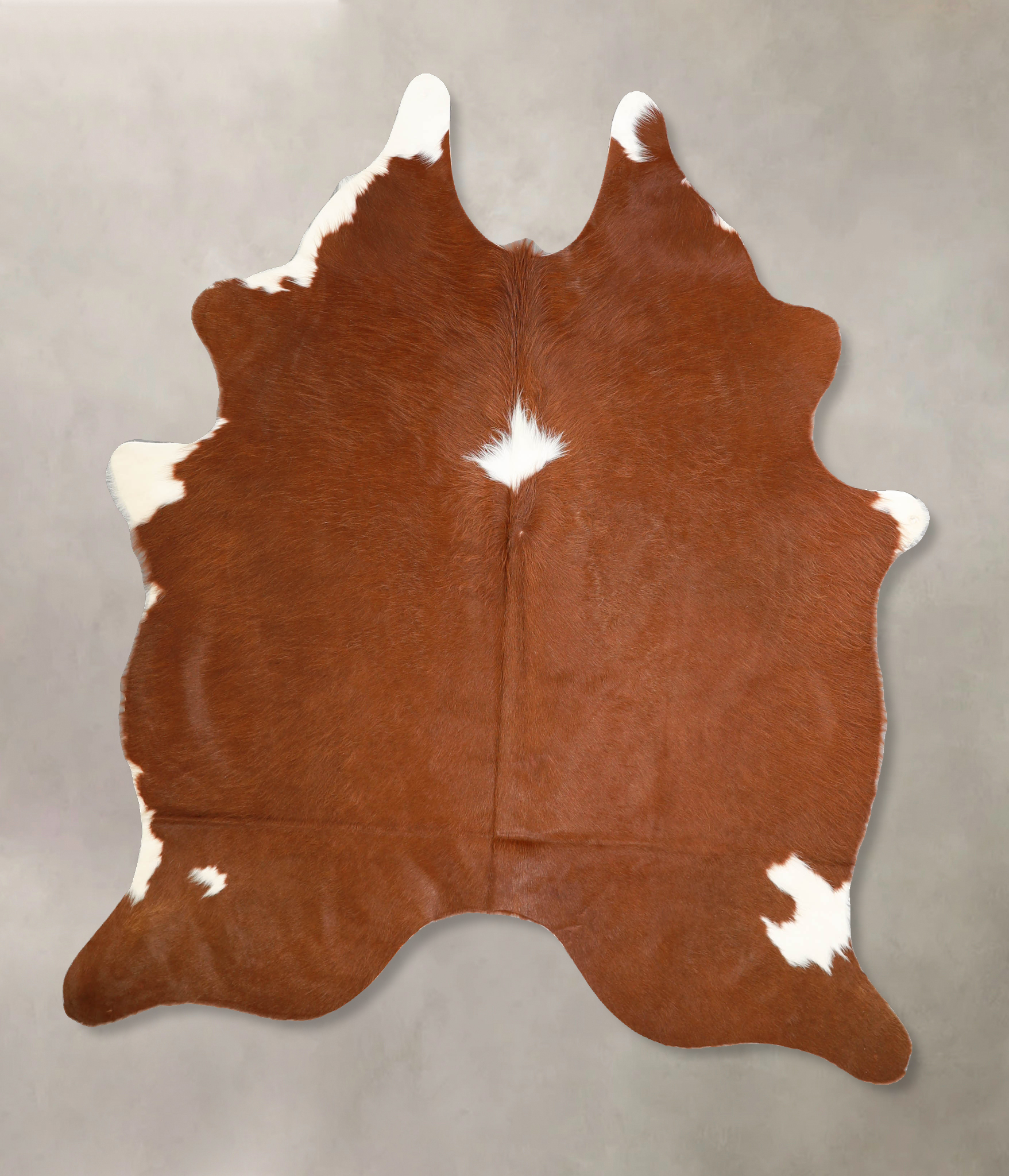 Brown and White Regular Cowhide Rug #A35251