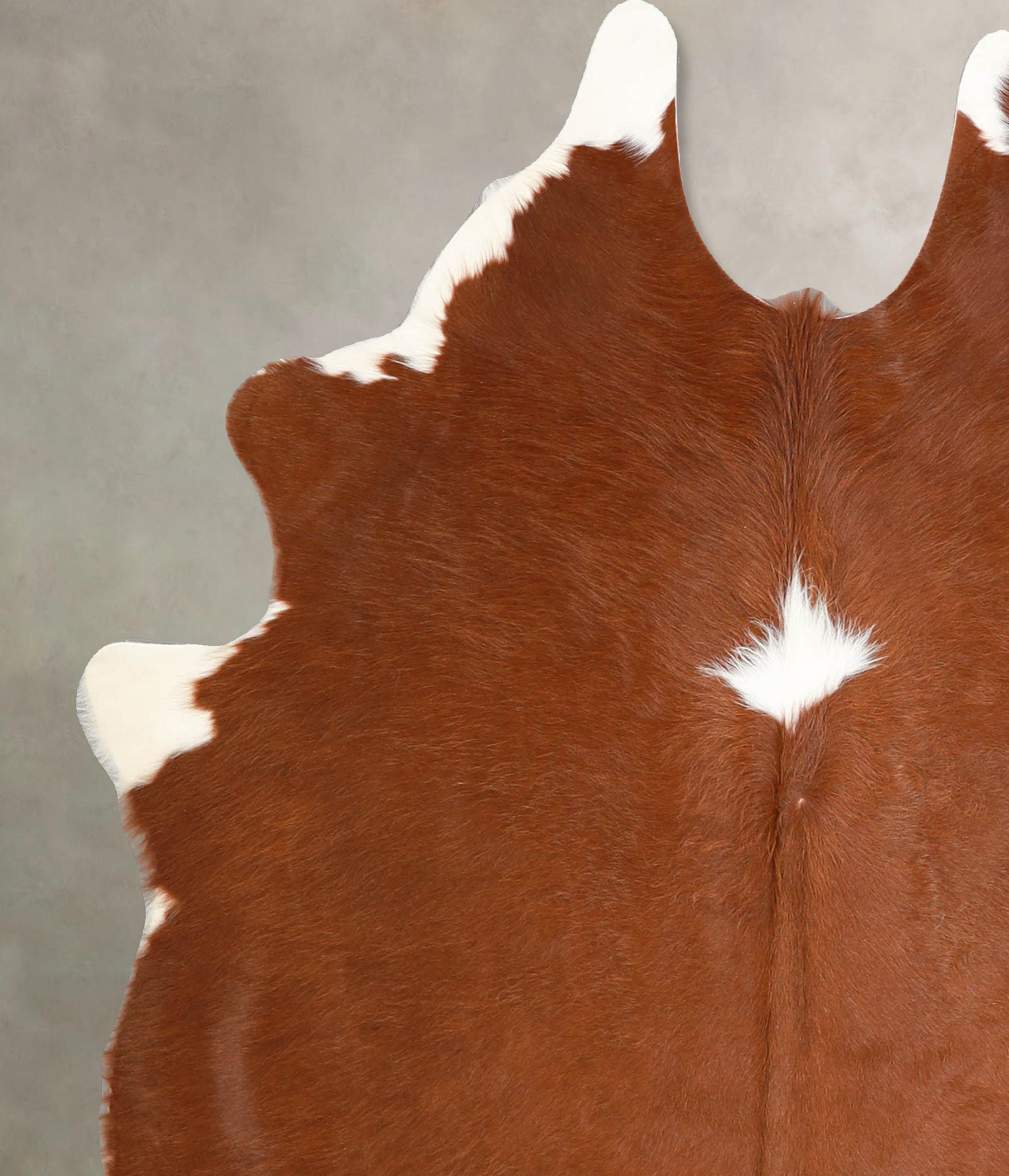 Brown and White Regular Cowhide Rug #A35251