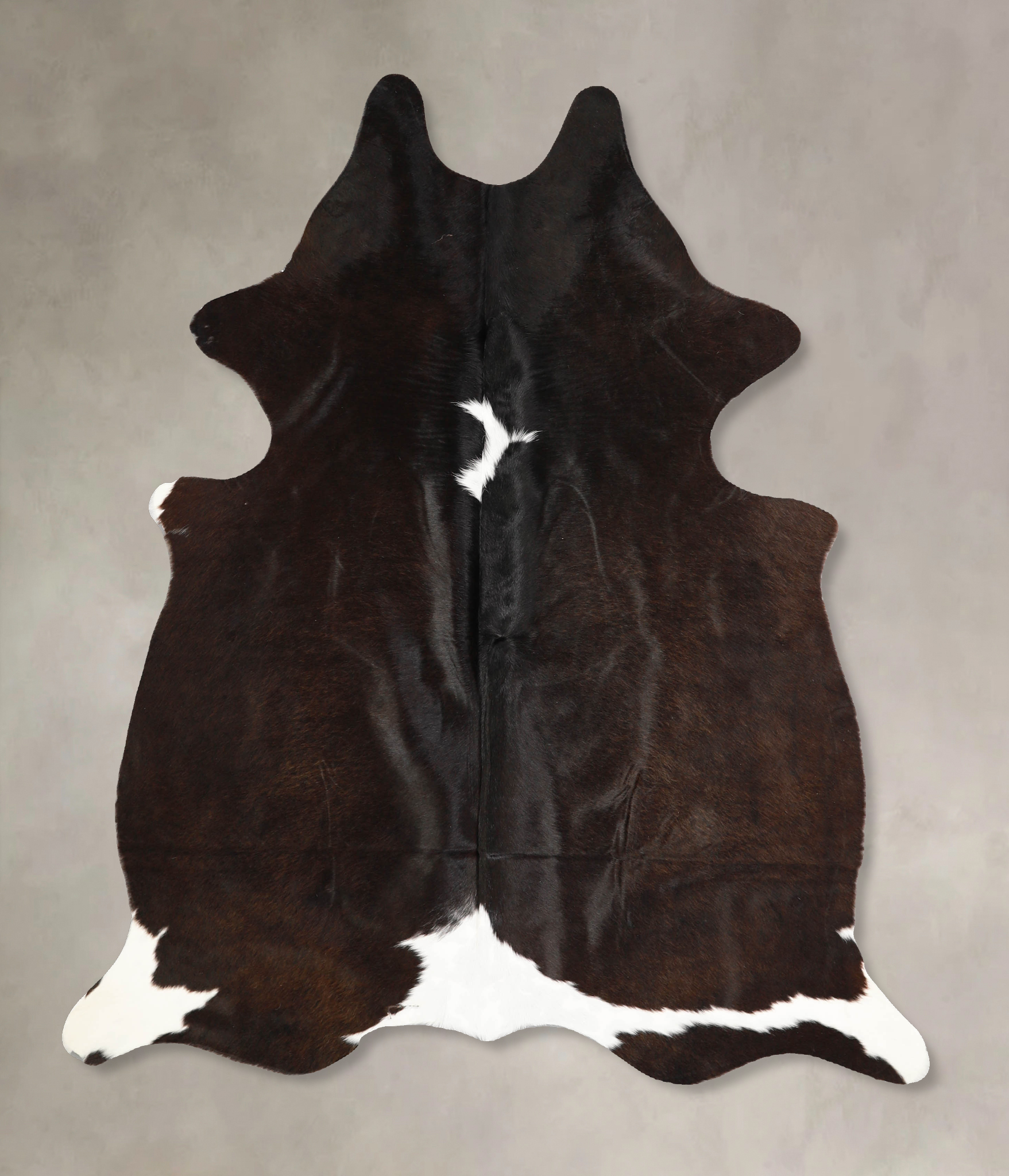 Chocolate and White Cowhide Rug #A35253