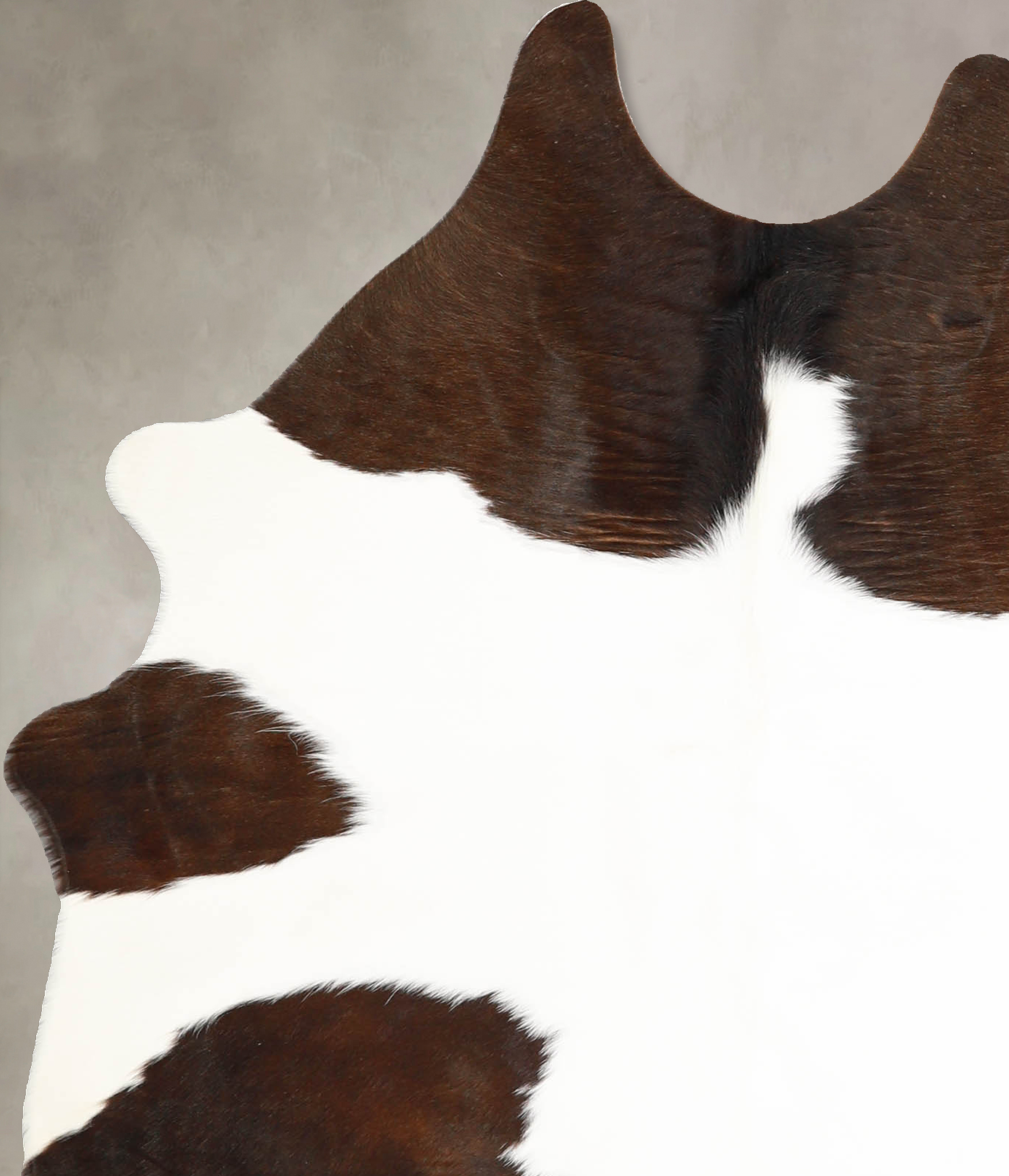 Chocolate and White Cowhide Rug #A35254