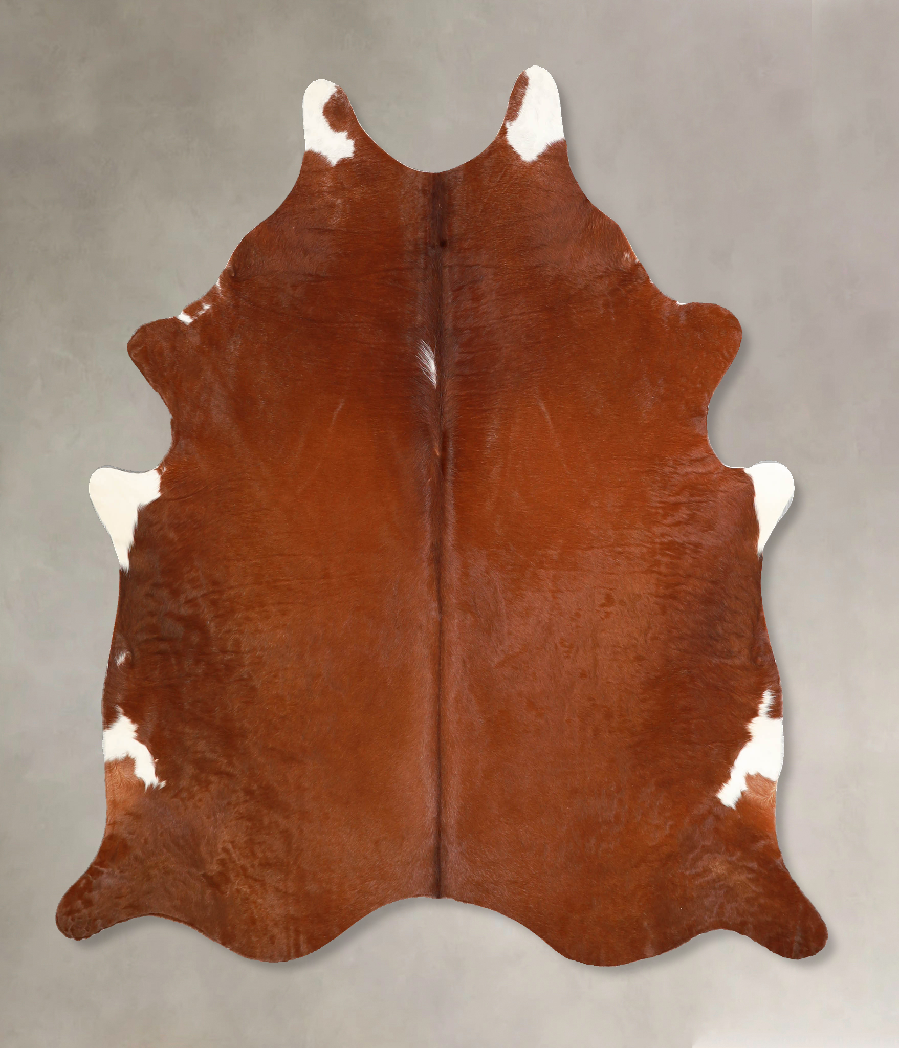 Brown and White Regular Cowhide Rug #A35262