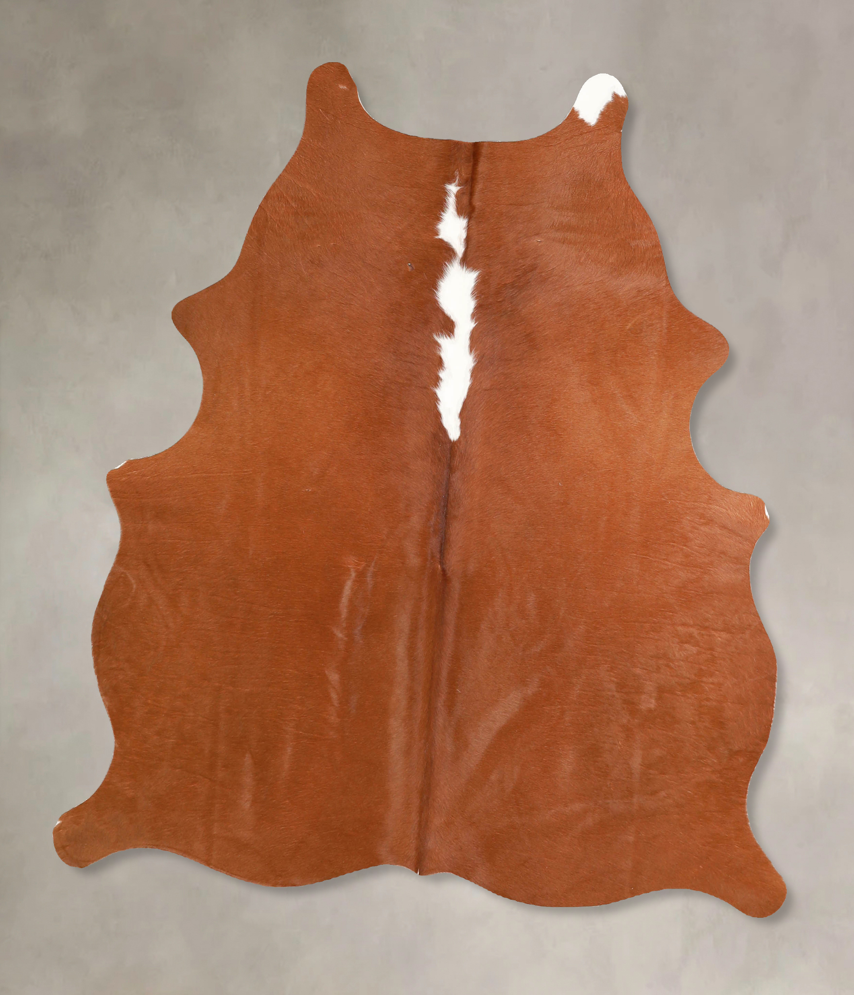 Brown and White Regular Cowhide Rug #A35267