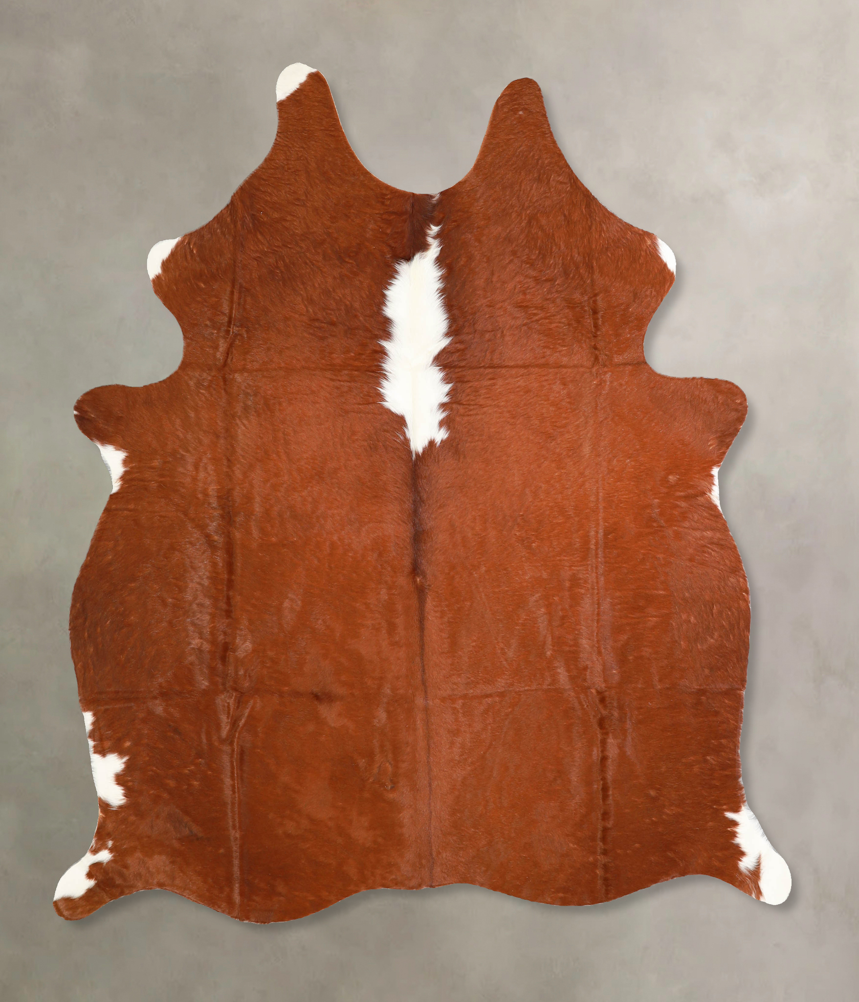 Brown and White Regular Cowhide Rug #A35270