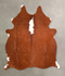 Brown and White Regular Medium Brazilian Cowhide Rug 5'8