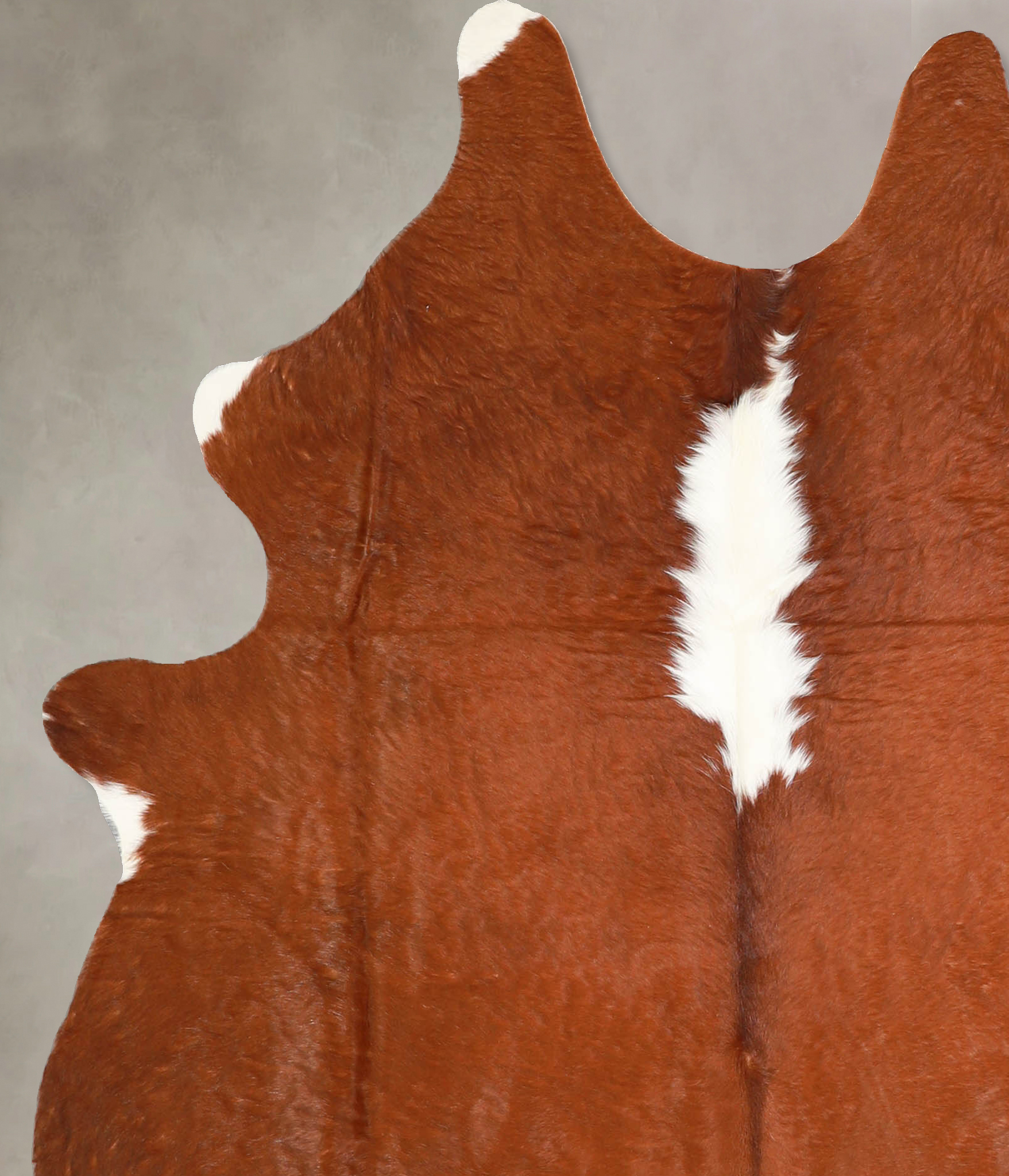 Brown and White Regular Cowhide Rug #A35270