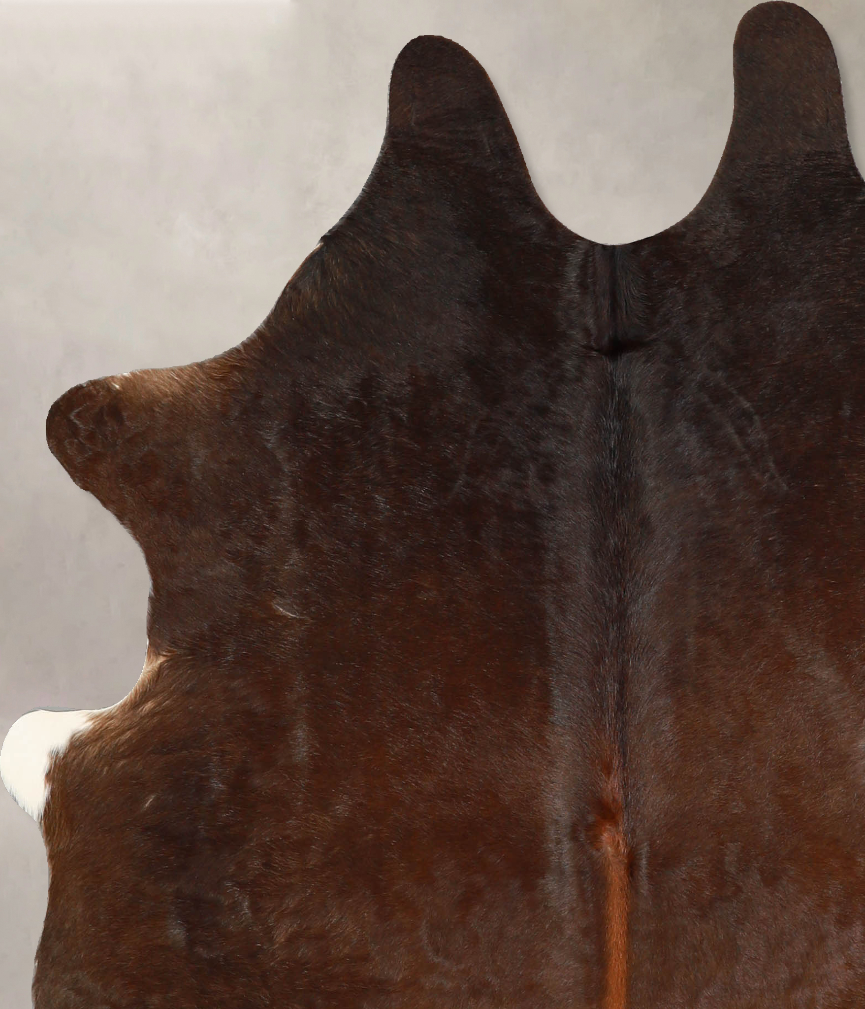 Chocolate Cowhide Rug #A35282