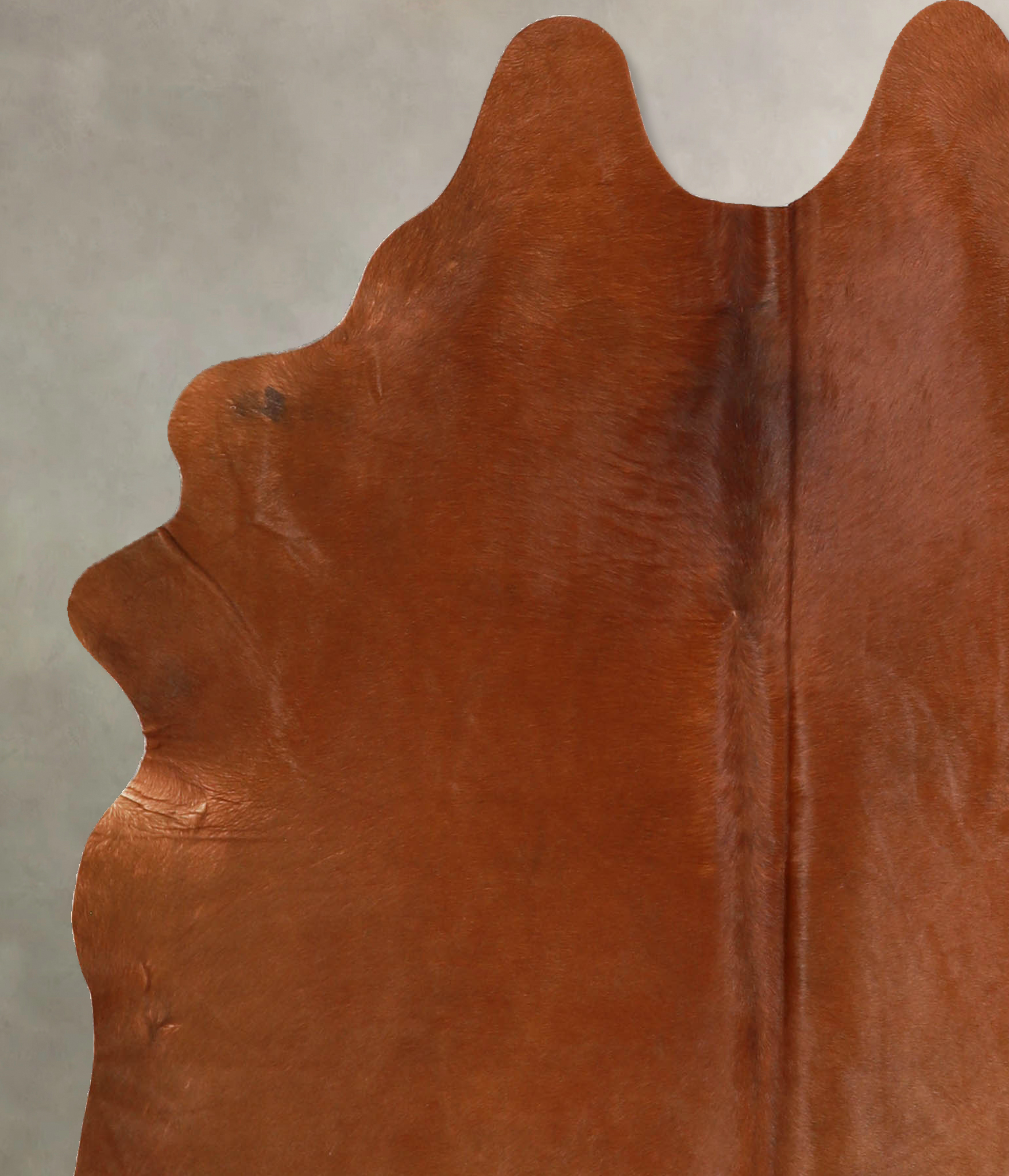 Solid Brown Cowhide Rug #A35292