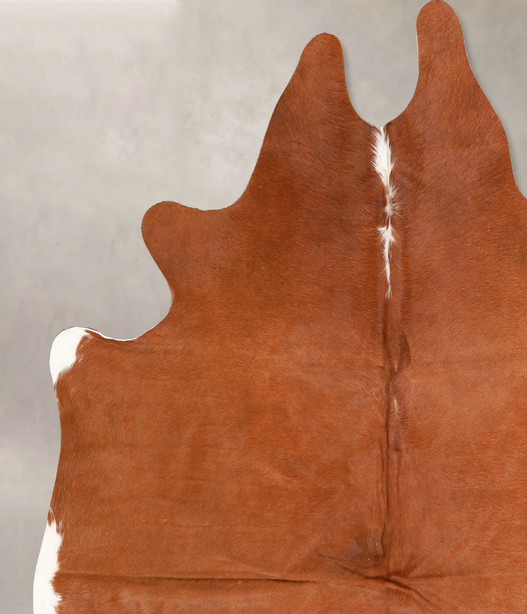 Solid Brown Cowhide Rug #A35293