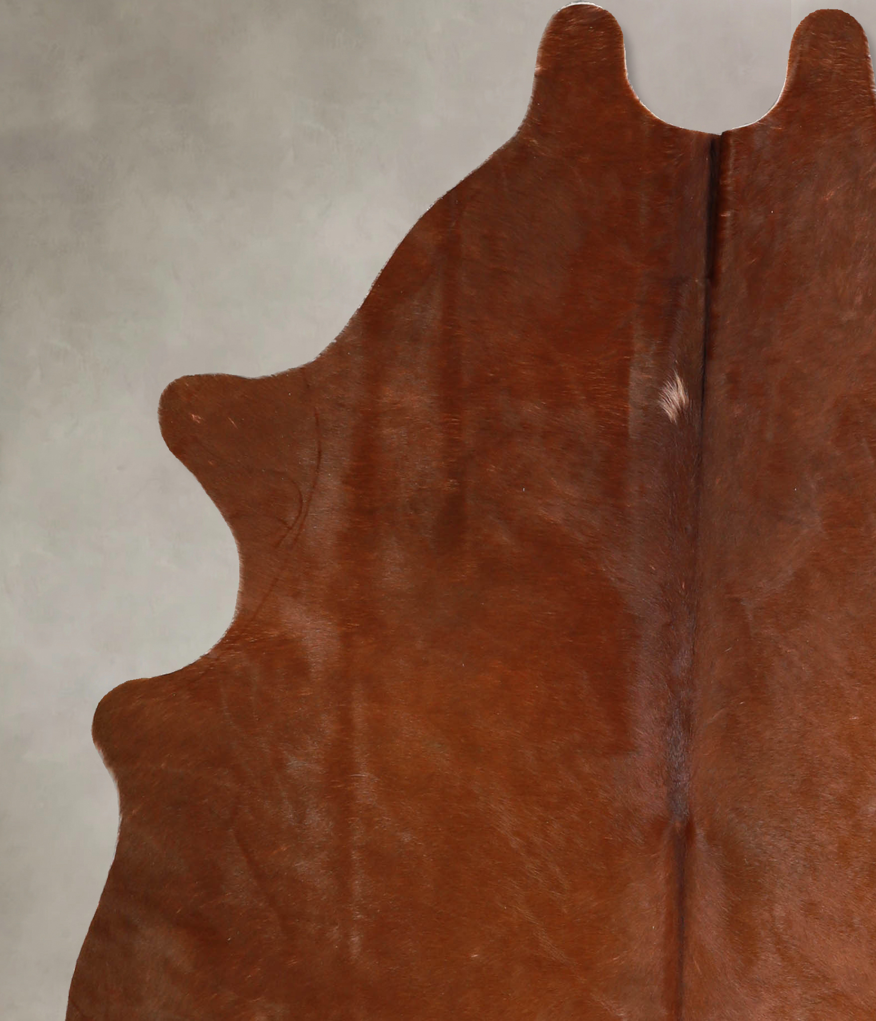 Solid Brown Cowhide Rug #A35294