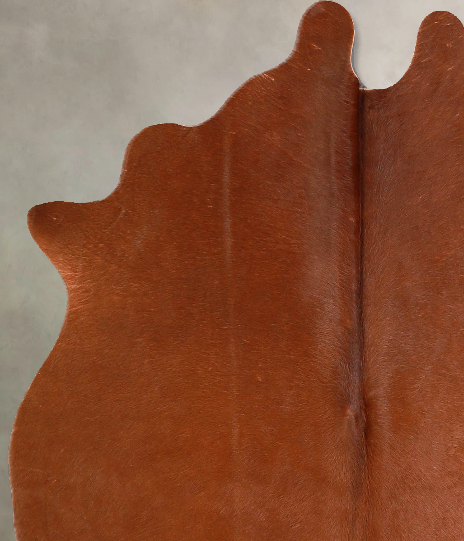 Solid Brown Cowhide Rug #A35295