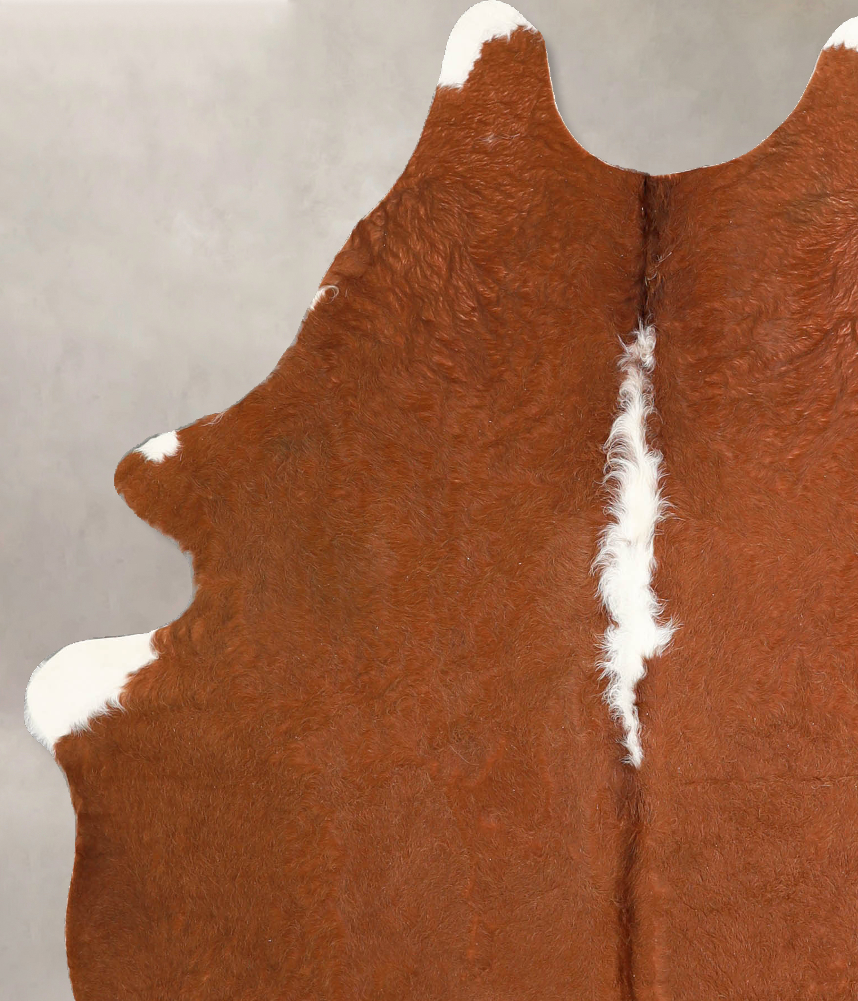 Brown and White Regular Cowhide Rug #A35296