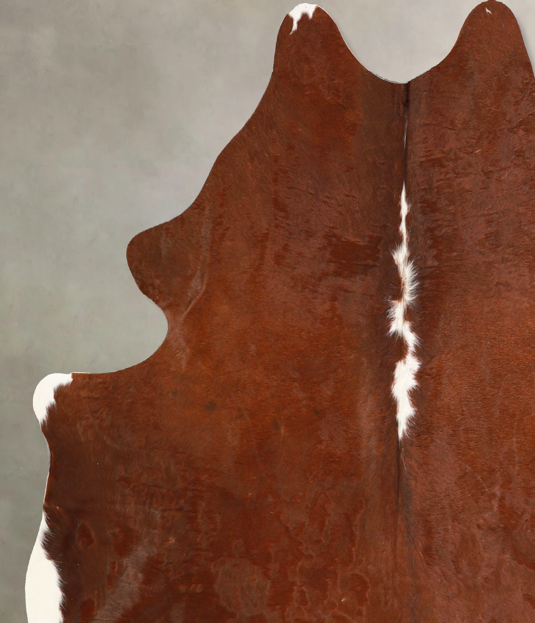 Solid Brown Cowhide Rug #A35298