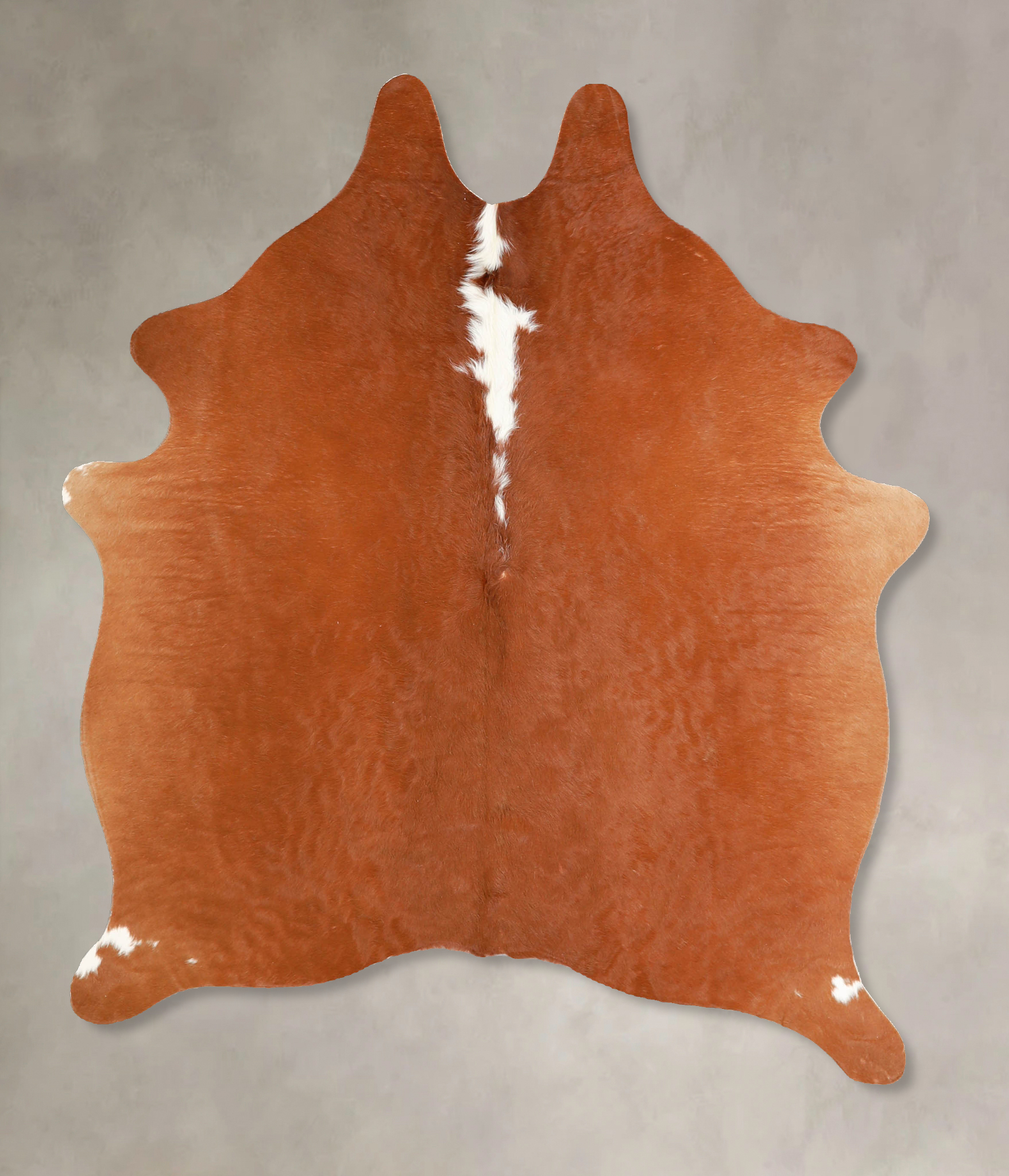 Brown and White Regular Cowhide Rug #A35301