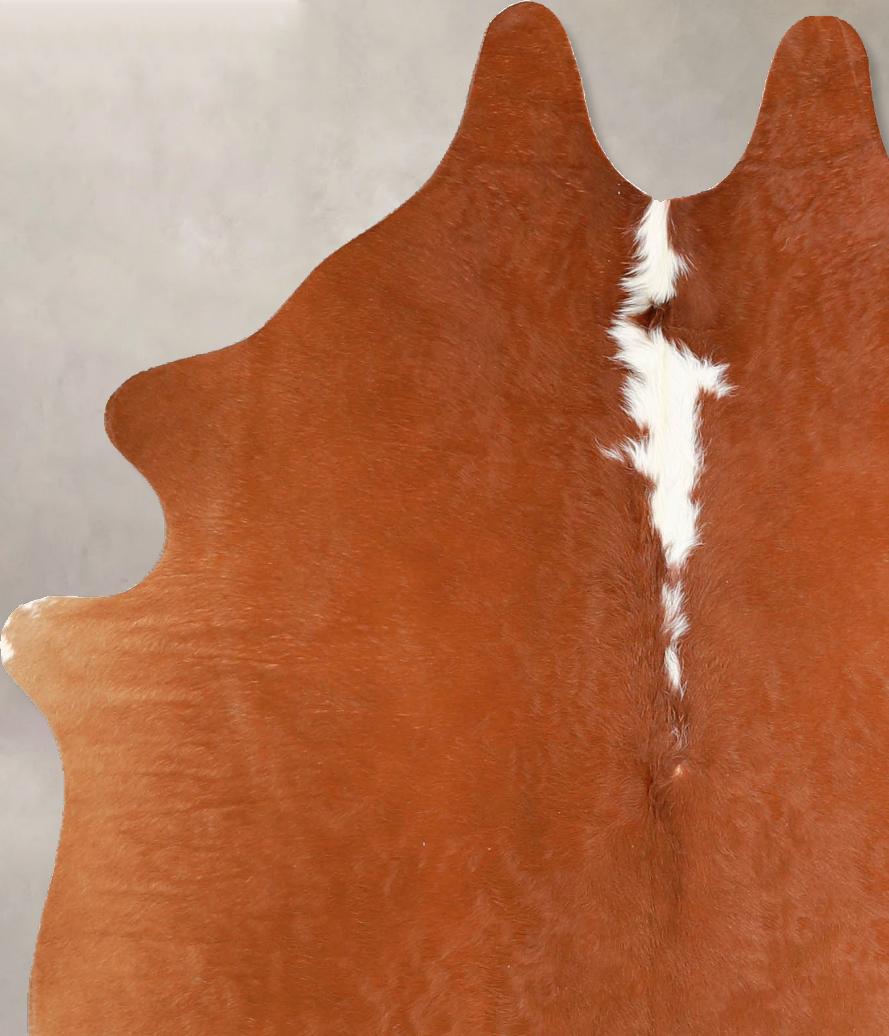 Brown and White Regular Cowhide Rug #A35301